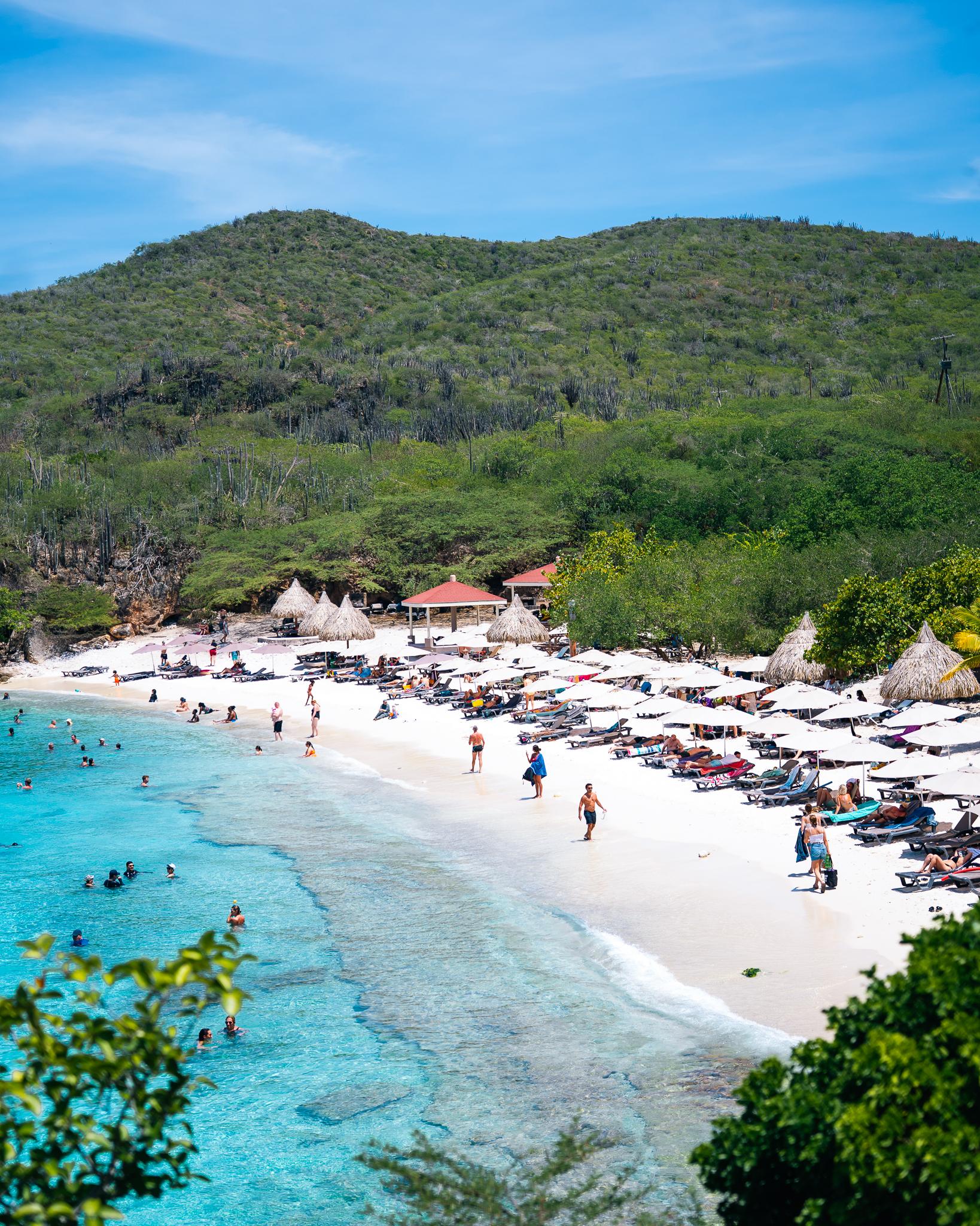 Curaçao Nature & Wildlife Explorer