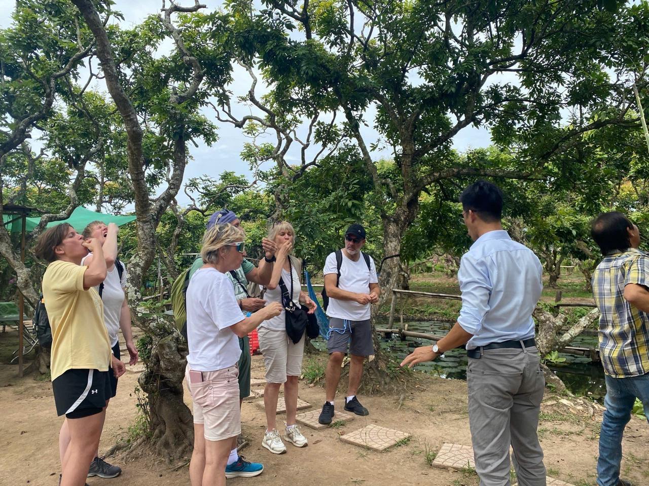 Mekong Delta Day Trip: Cai Rang Floating Market & Cồn Sơn Islet