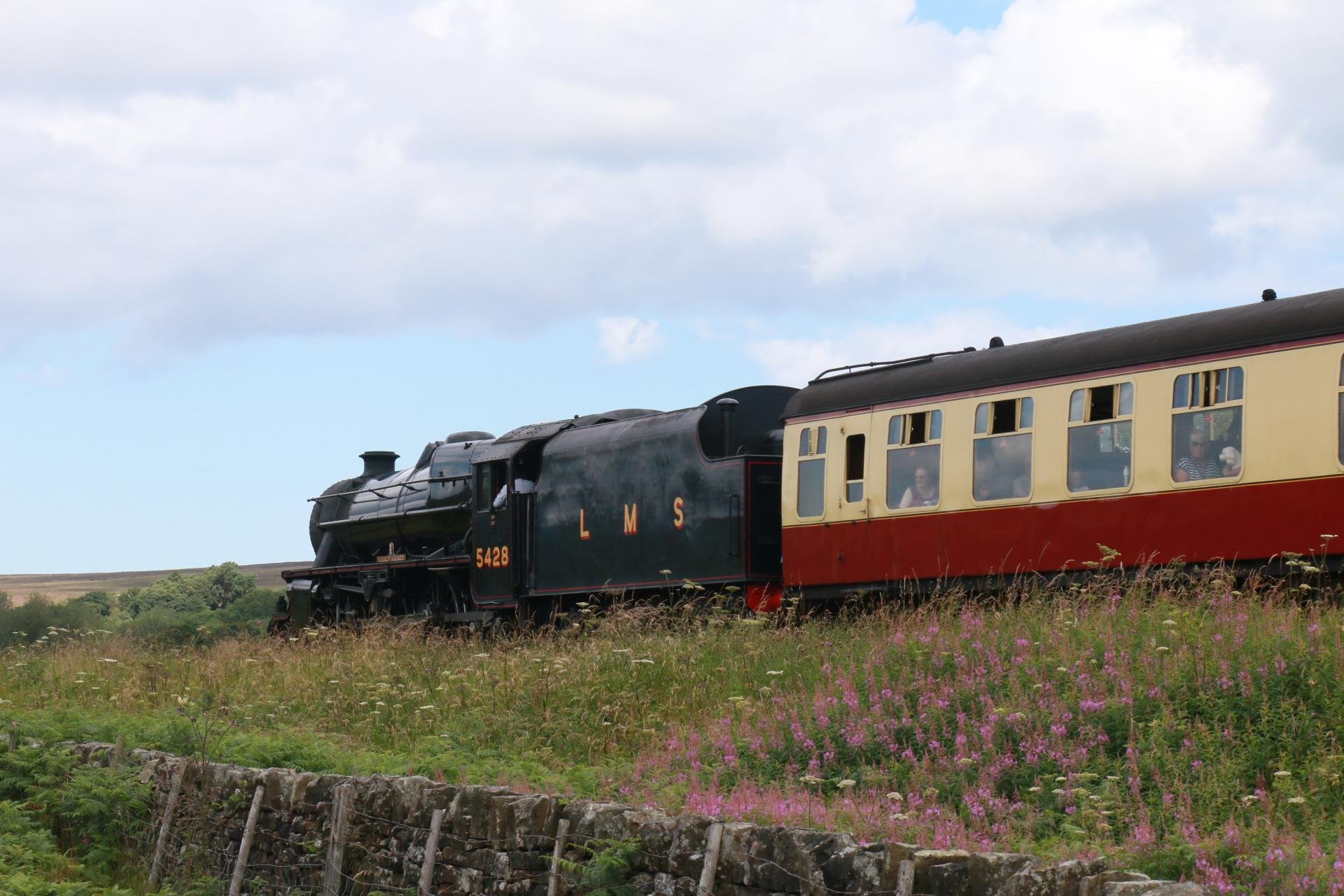 York: North Yorkshire Moors and Whitby Scenic Day Trip