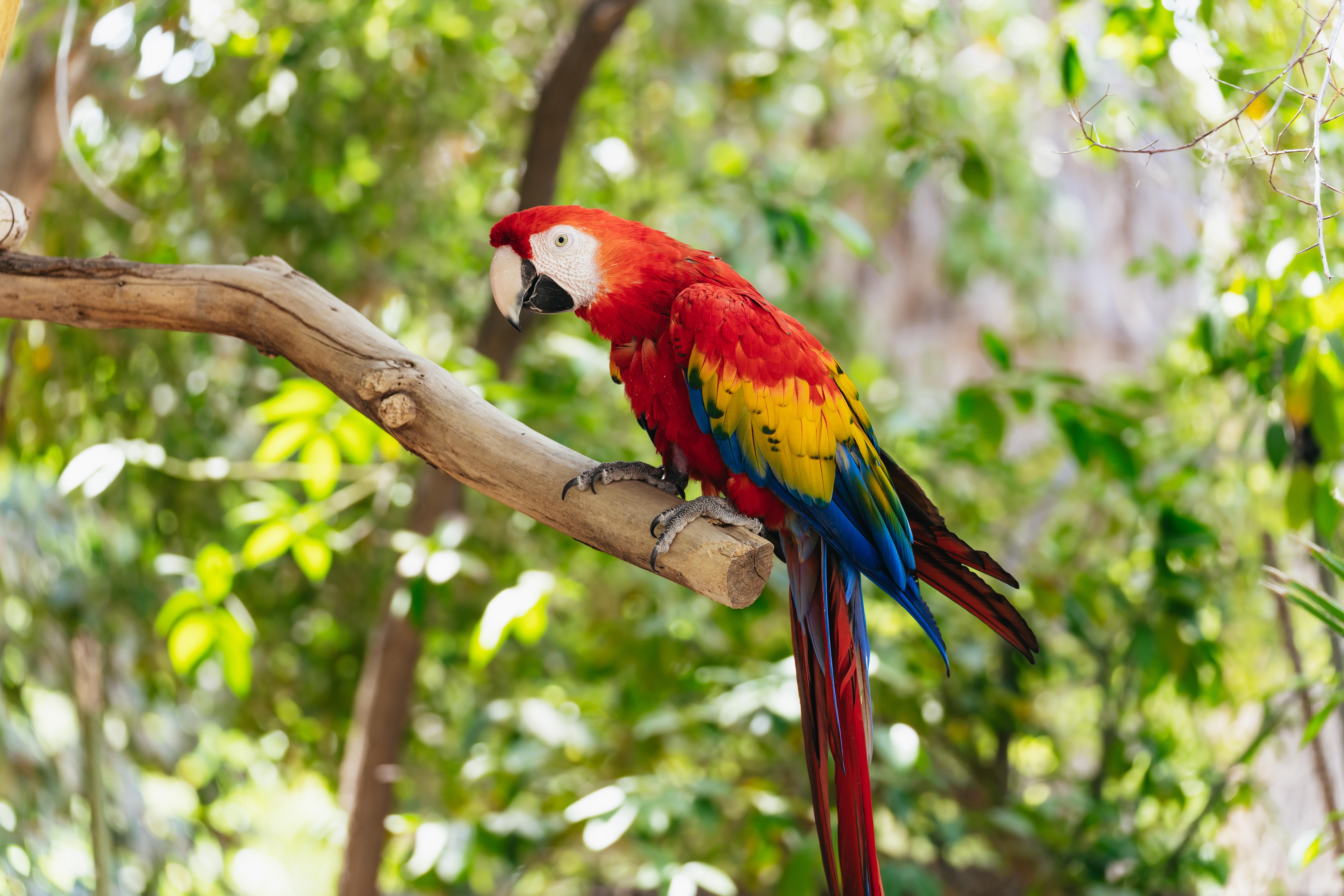 Phoenix Zoo: General Admission Ticket