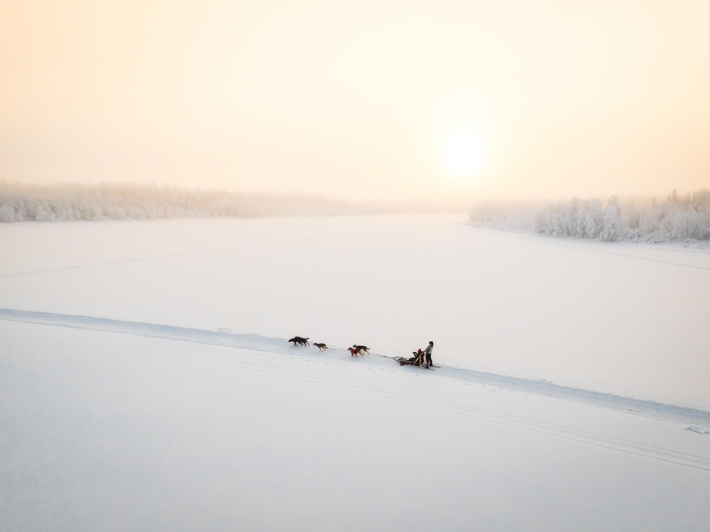 Rovaniemi Daytime Husky Safari