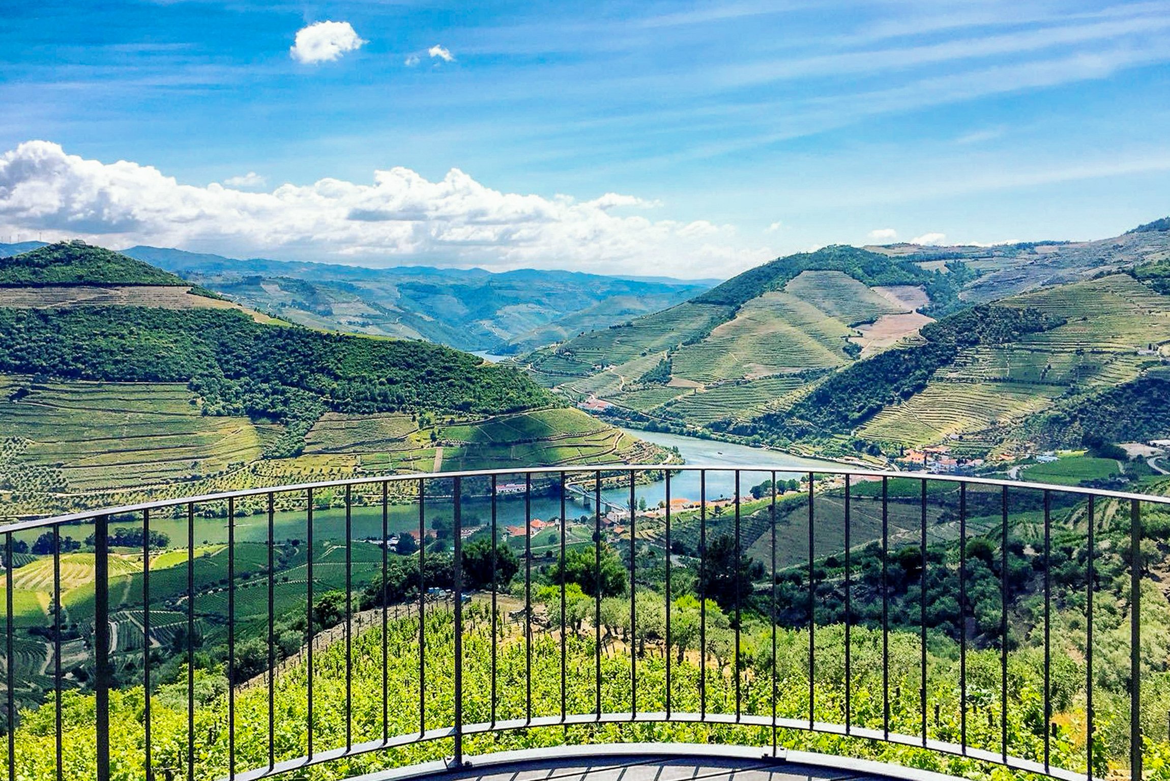 Douro Valley Day Trip: Boat Cruise, Wine Tasting & Traditional Lunch from Porto