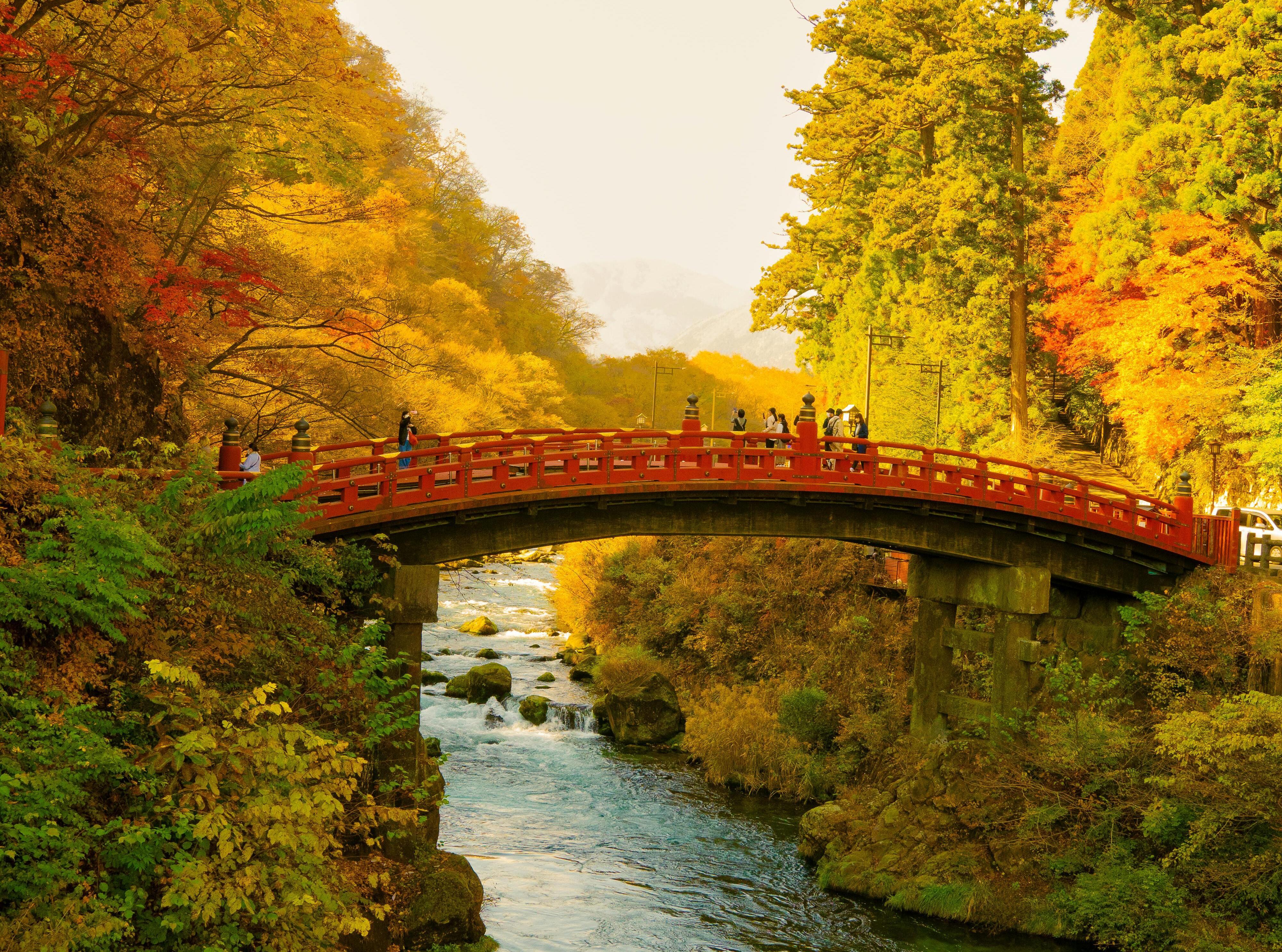 Nikko Autumn Day Trip: Toshogu, Kegon Falls & Lake Chuzenji