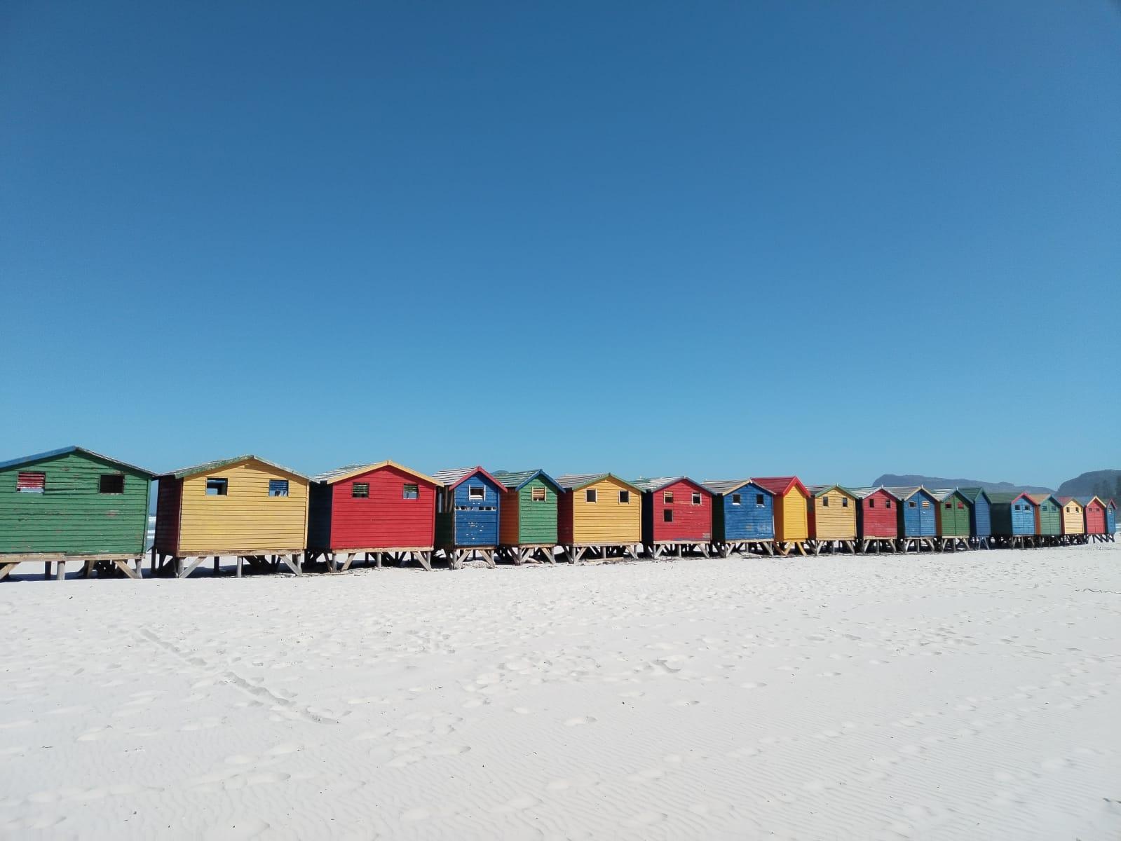 Cape Town Full-Day Tour: Table Mountain, Cape Point & Penguins
