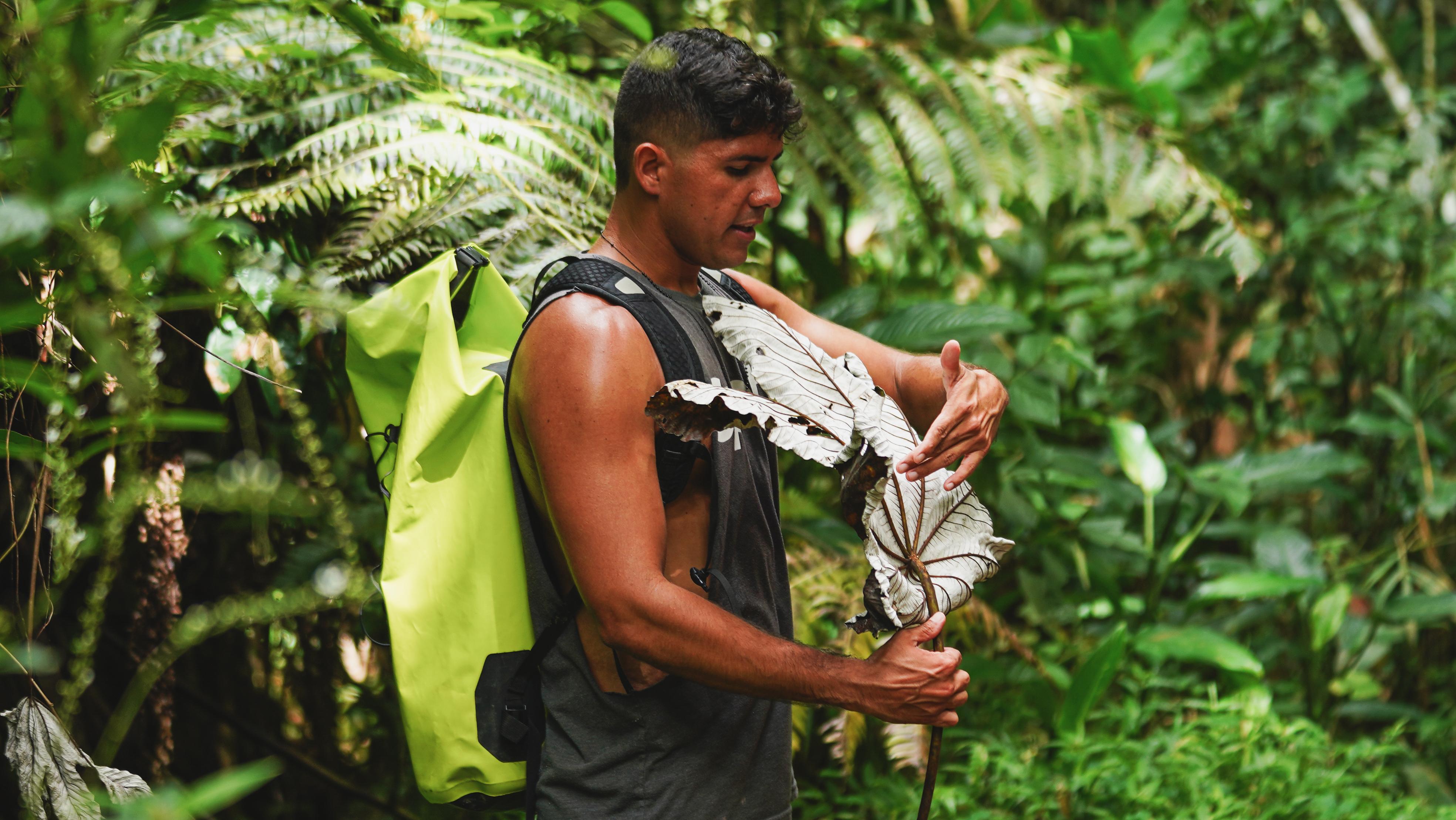 El Yunque Rainforest Adventure & Natural Waterslide Tour