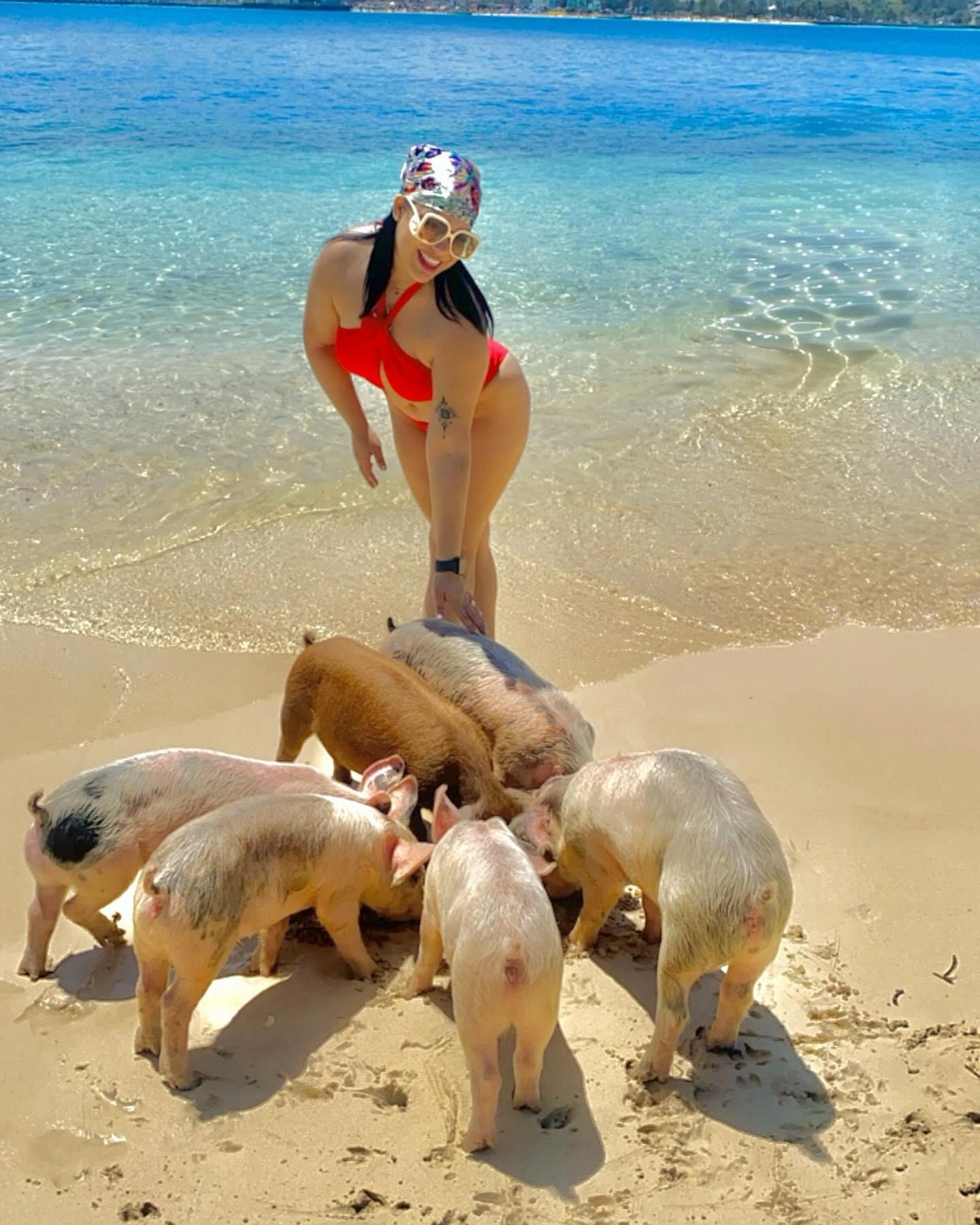 Nassau Catamaran Adventure: Swimming Pigs, Turtles & Snorkeling