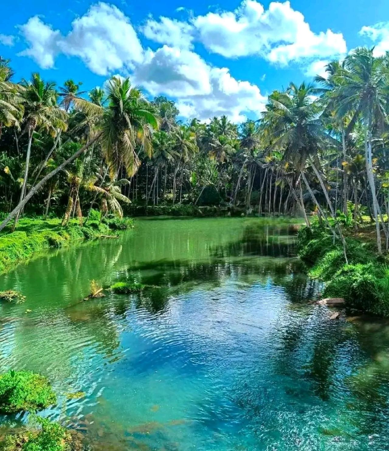 Kochi Backwater Village Immersion with Traditional Sadya Lunch