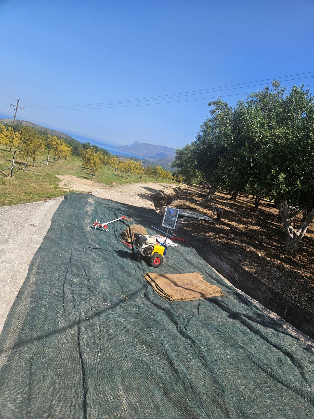 cheese tasting in Crete — photo 11