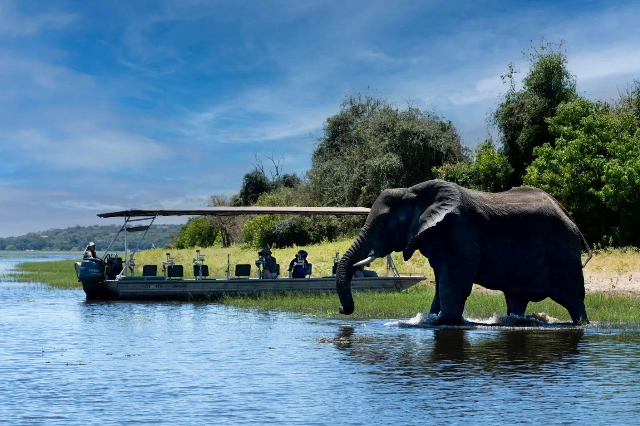 Chobe National Park Private Family Safari from Livingstone
