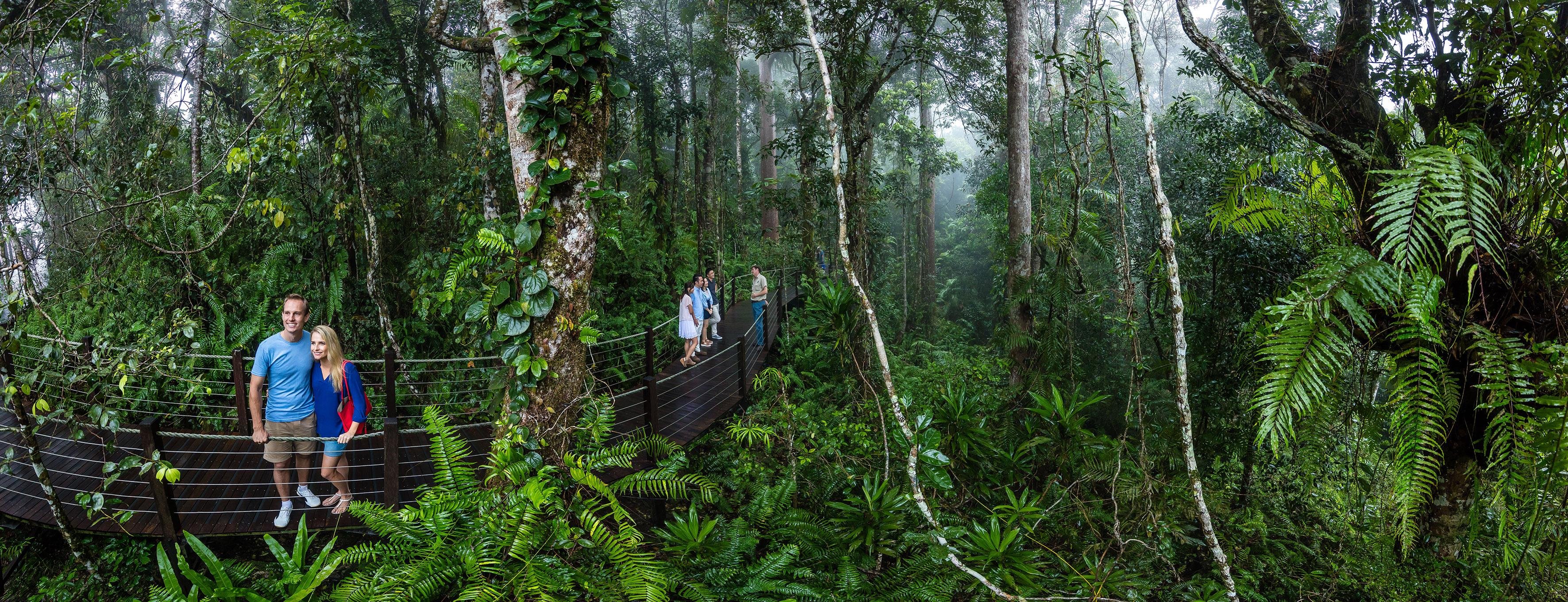 Cairns to Kuranda: Scenic Railway & Skyrail Rainforest Cableway Day Trip