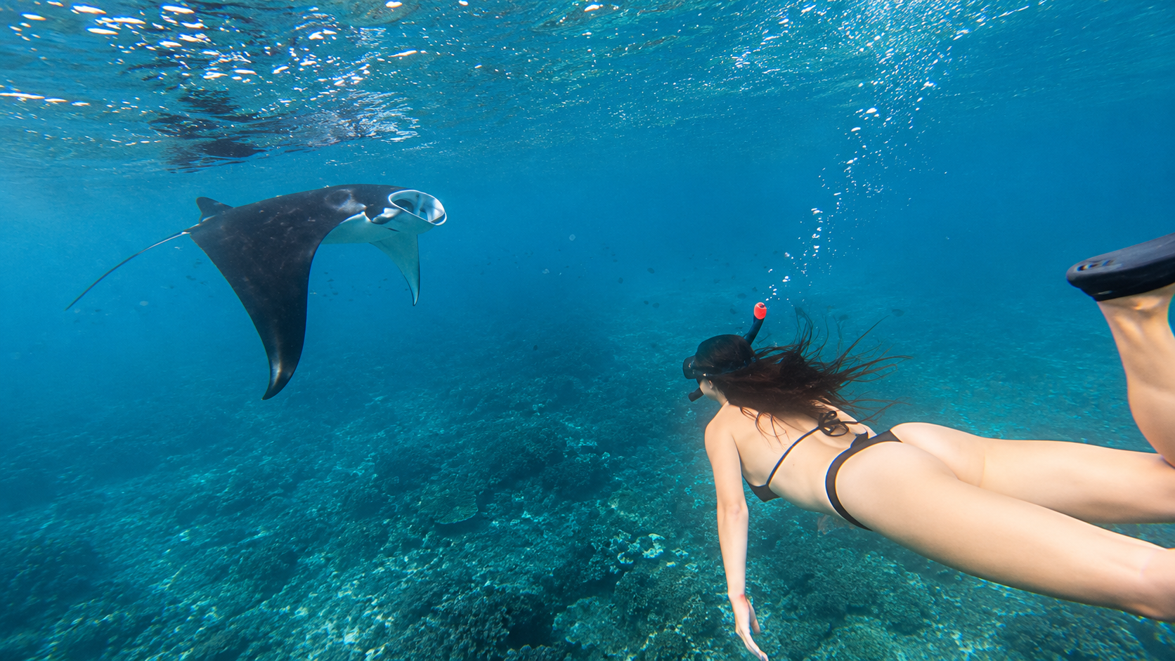 Nusa Penida Private Snorkeling: 3 Bays & Manta Encounter