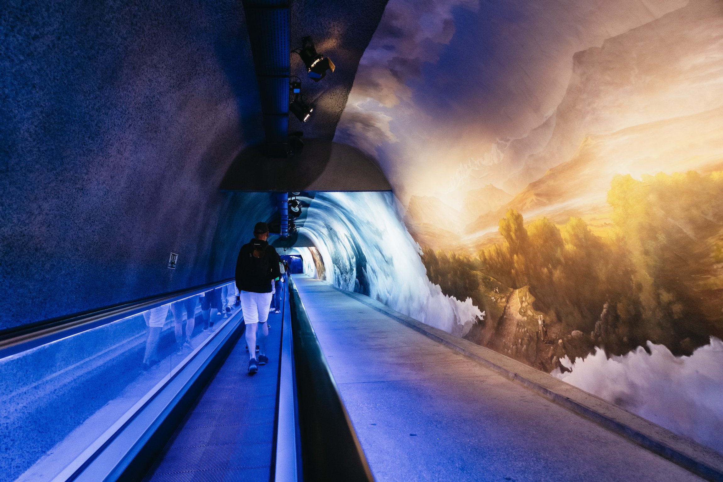Jungfraujoch from Zurich day tour scenery — image 38