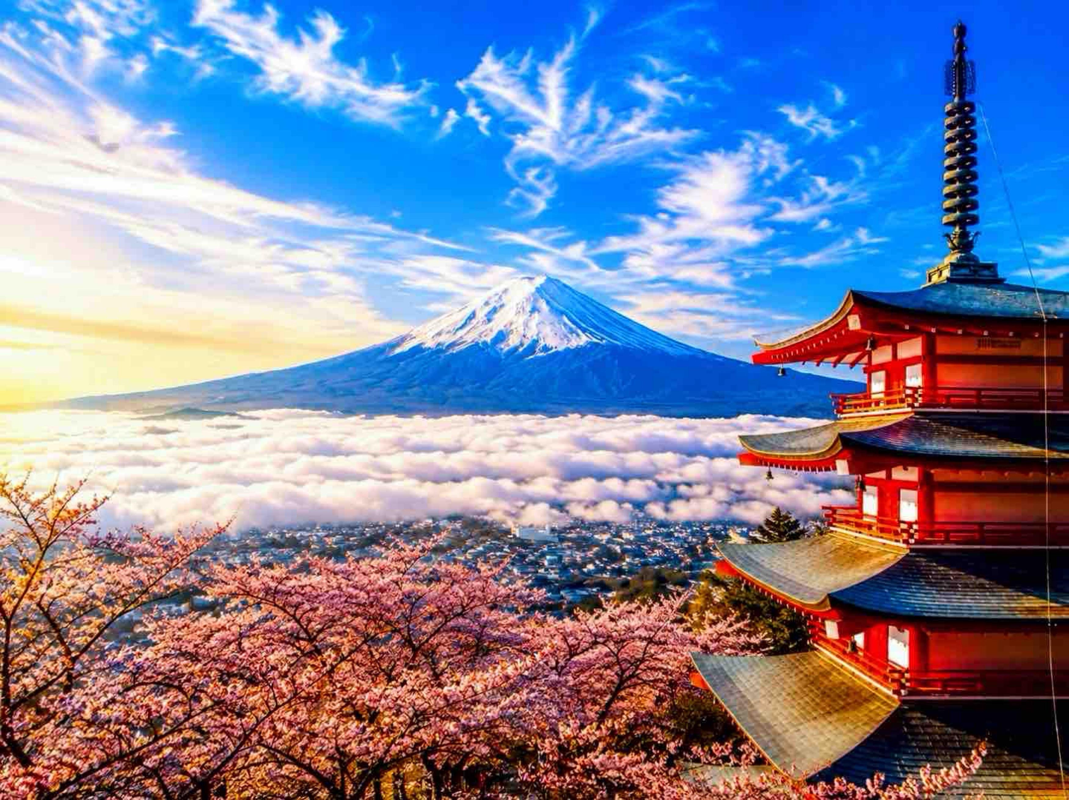 Tokyo: Private Mount Fuji & Fuji Five Lakes Day Tour with English Guide
