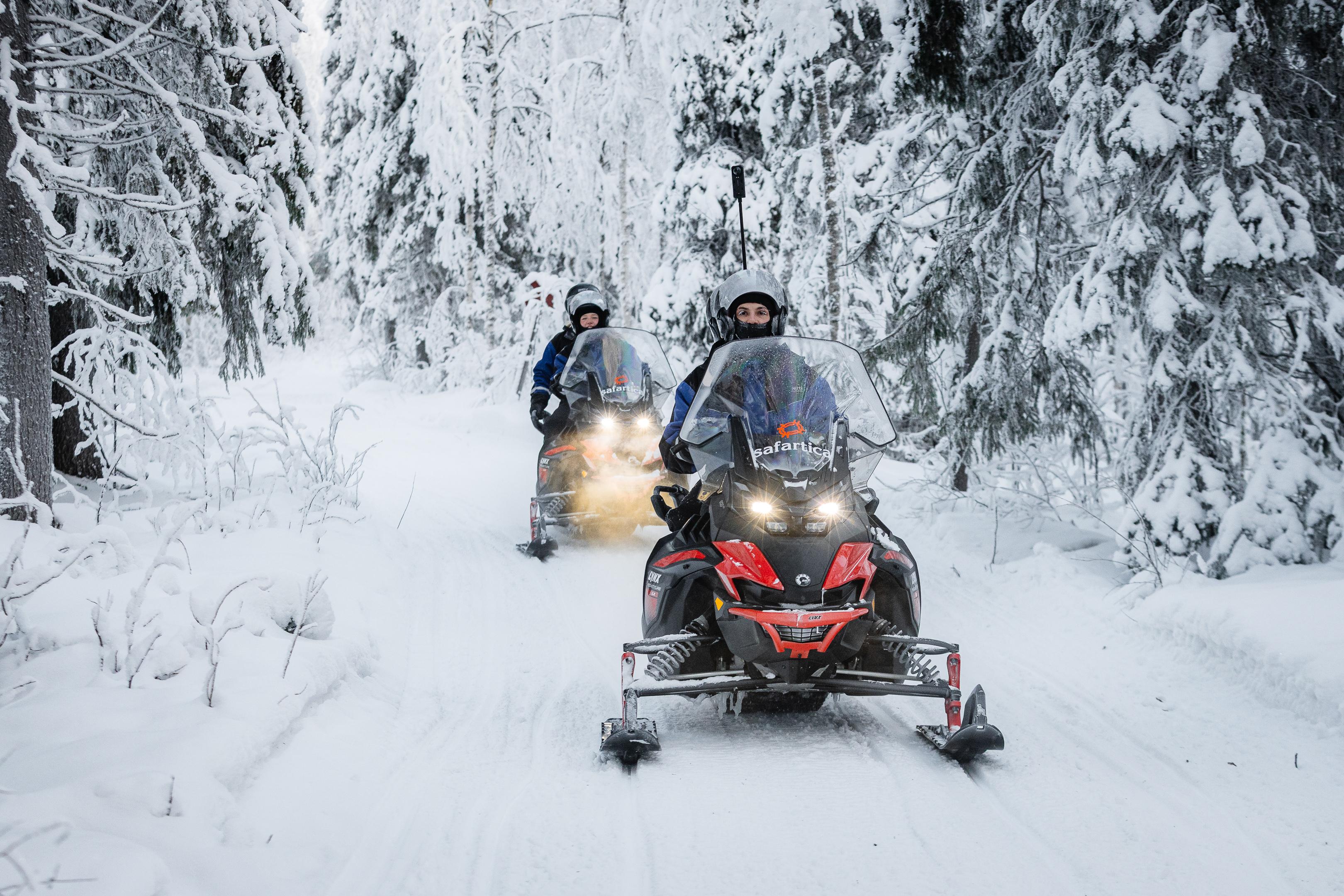 Rovaniemi Arctic Day: Santa's Village, Snowmobile Safari & Reindeer Farm