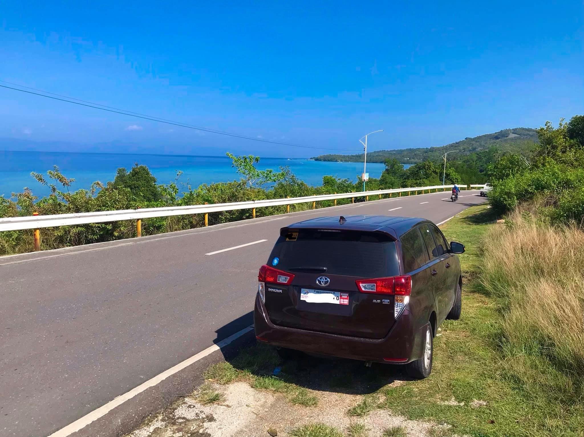 Cebu to Moalboal Private Transfer