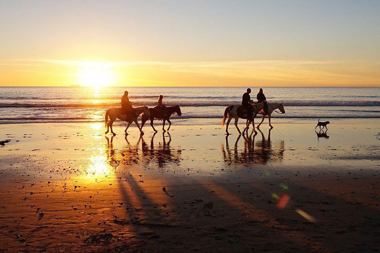 Bali Sunset Horse Ride at Kedungu Beach