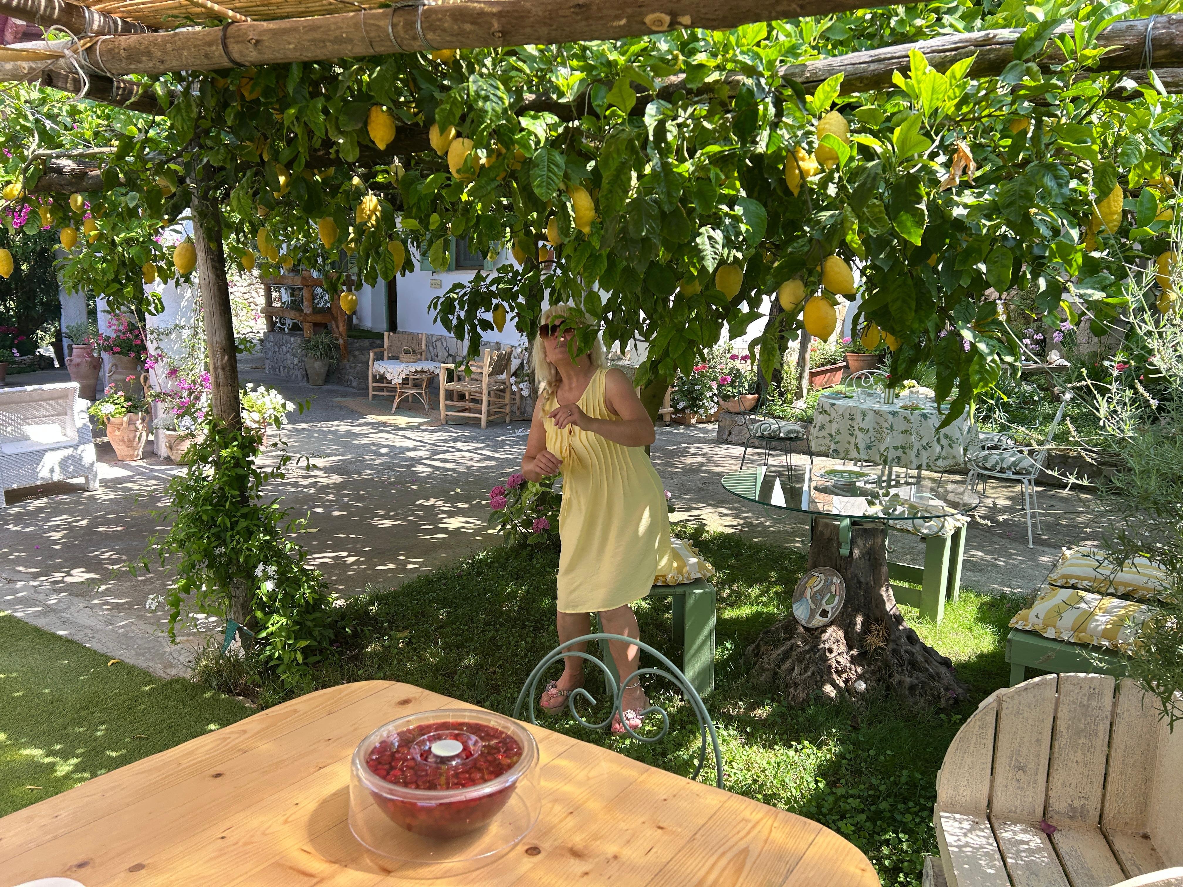 Sorrento: Marì Family Farm Cooking Class with Amalfi Coast Views