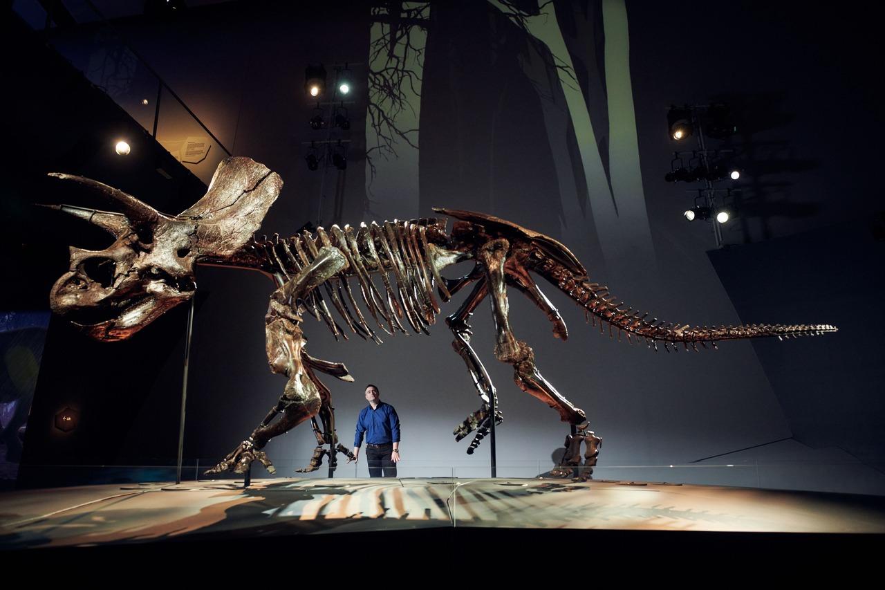 Melbourne: Melbourne Museum Entry Ticket - 2026 (Verified Reviews)