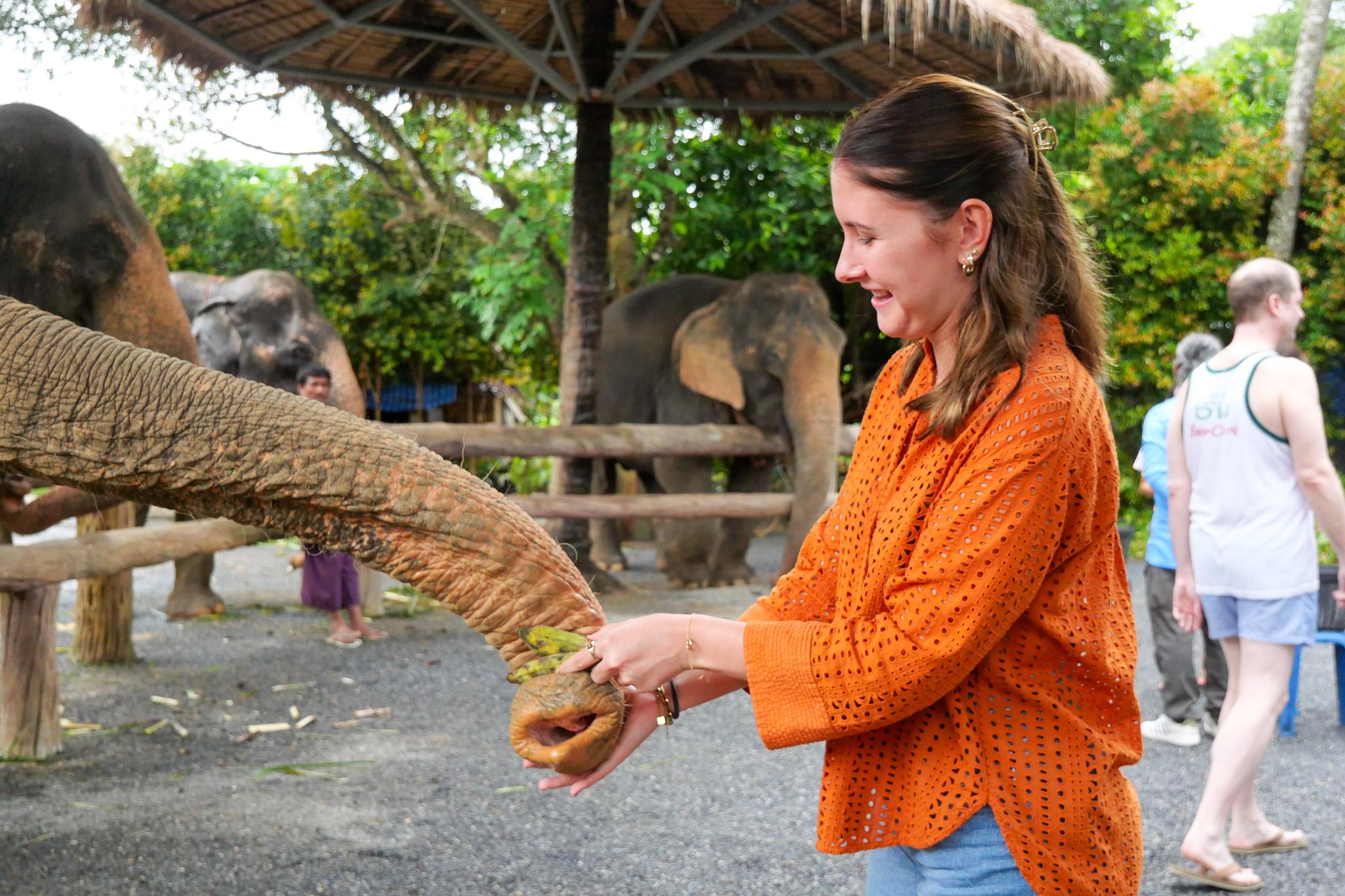 Ao Nang Elephant Sanctuary Visit