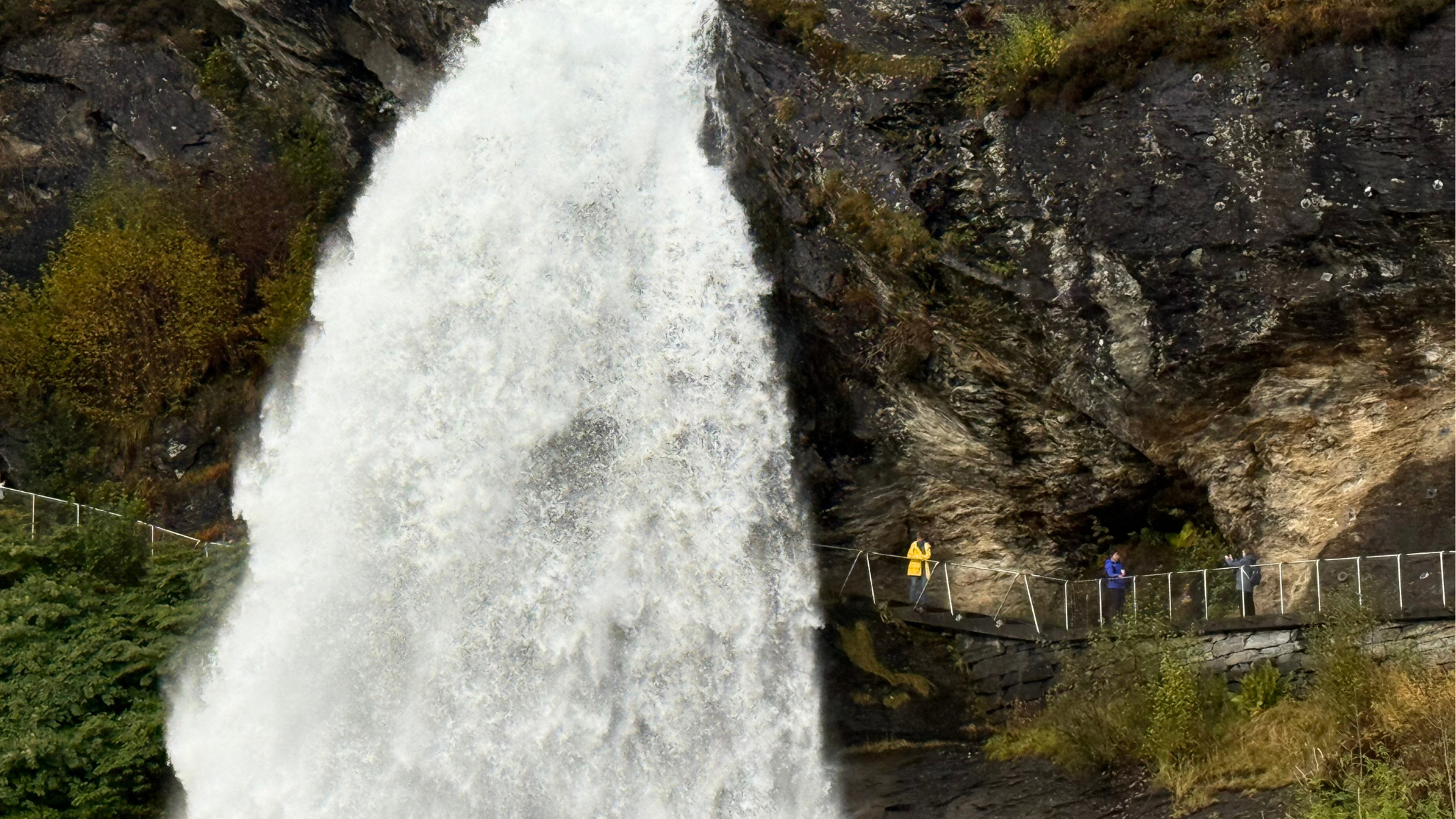Bergen: Folgefonna National Park & Glacier Lake Tour & Lunch - 2026 (Verified Reviews)