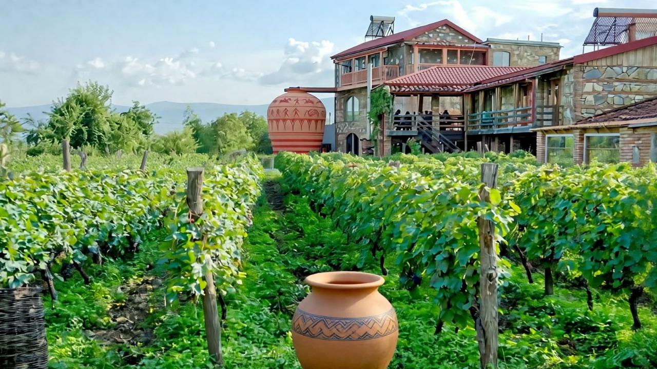 Private Kakheti Wine Country Day Trip from Tbilisi