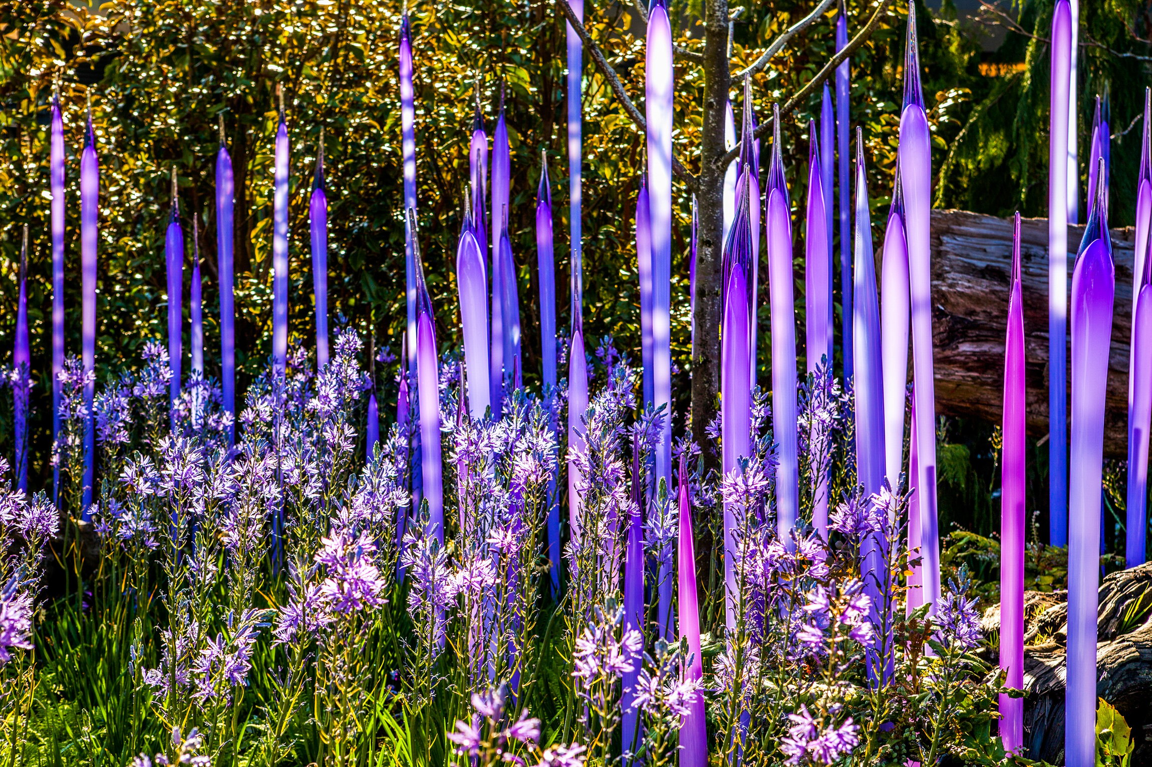Chihuly Garden and Glass Seattle tickets — image 8