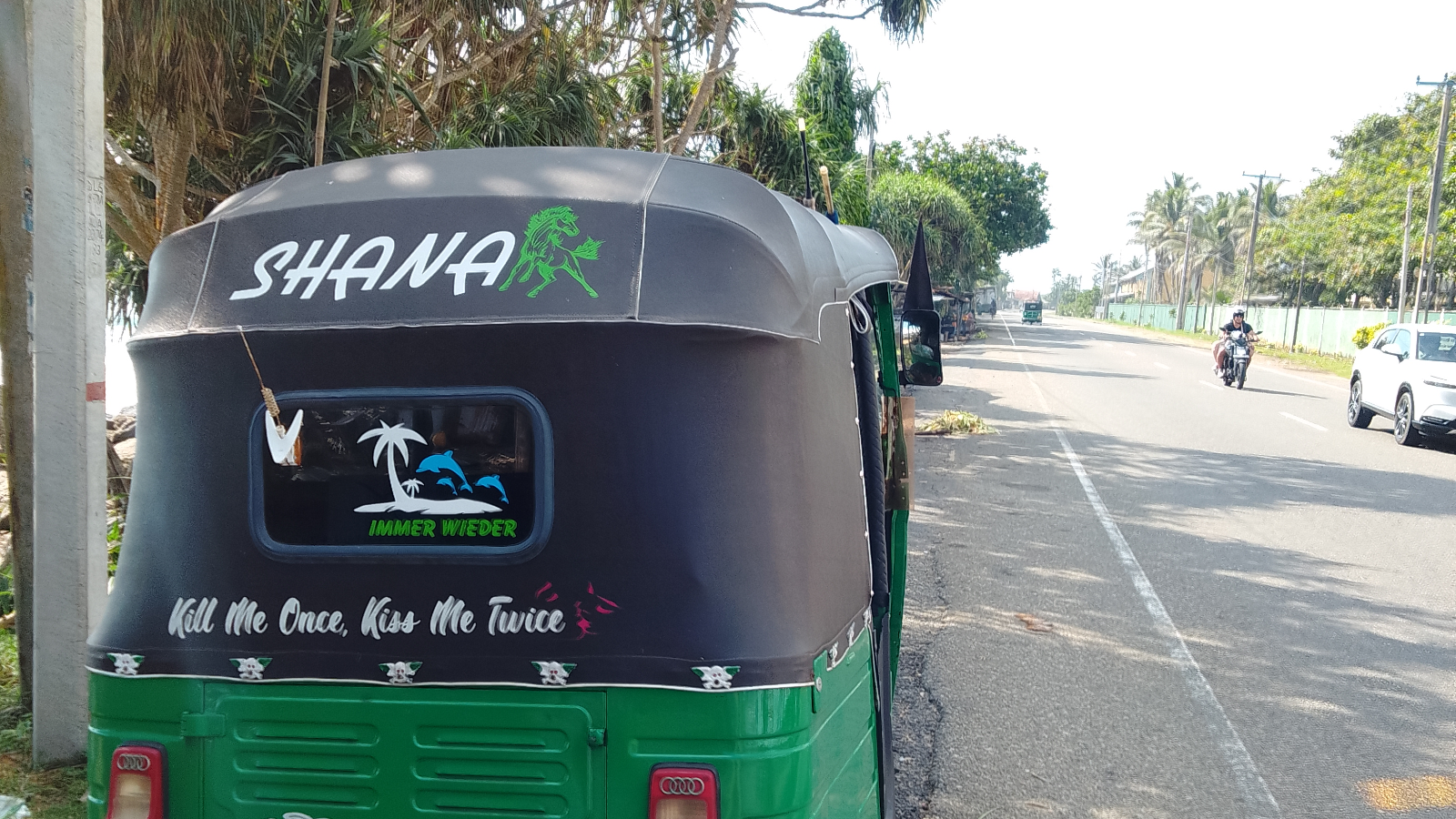 Bentota Tuk Tuk Tour: River Safari, Turtles, Temple & Wood Carving