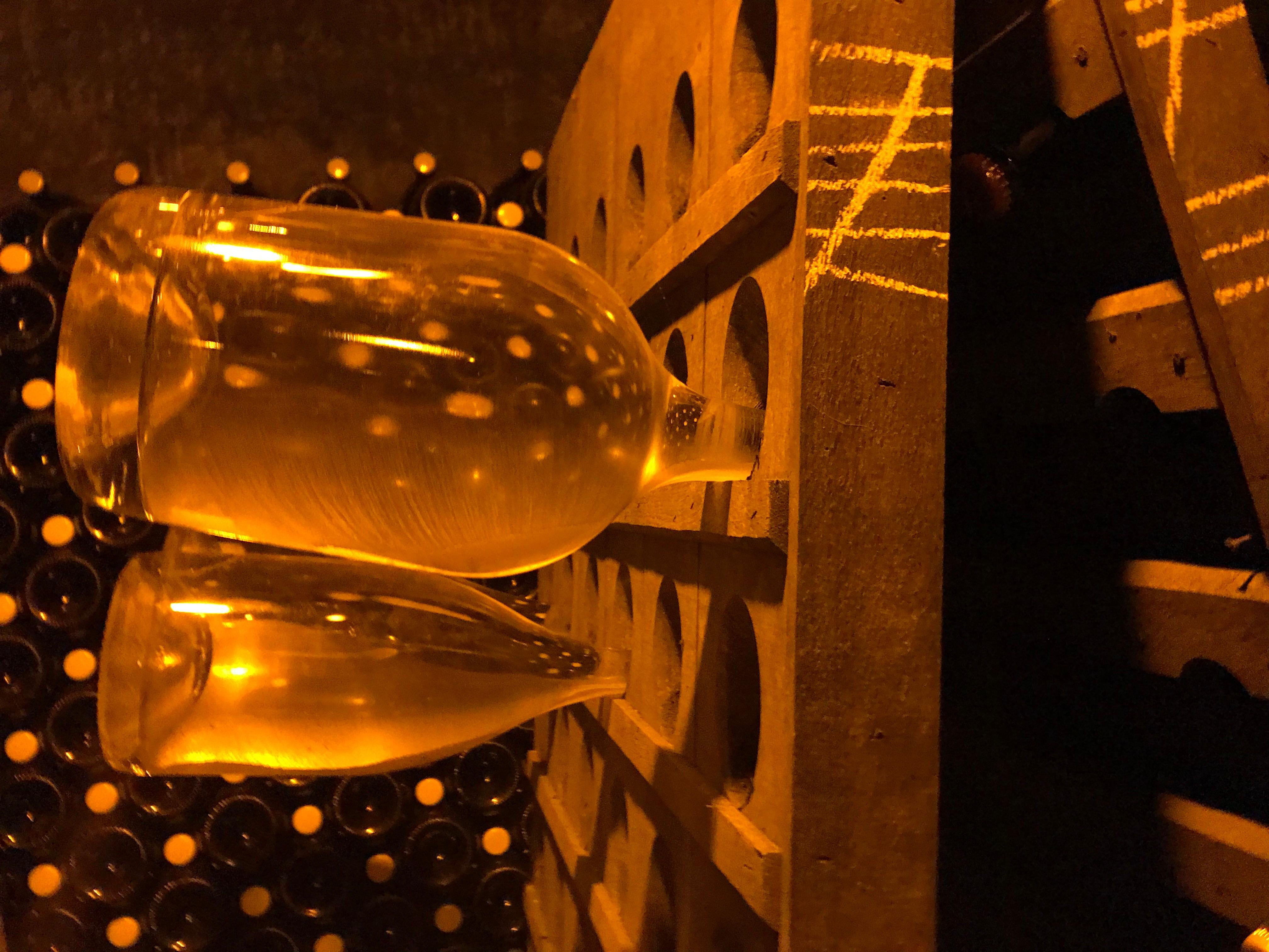 From Reims/Epernay: Champagne half-day tour (small group)