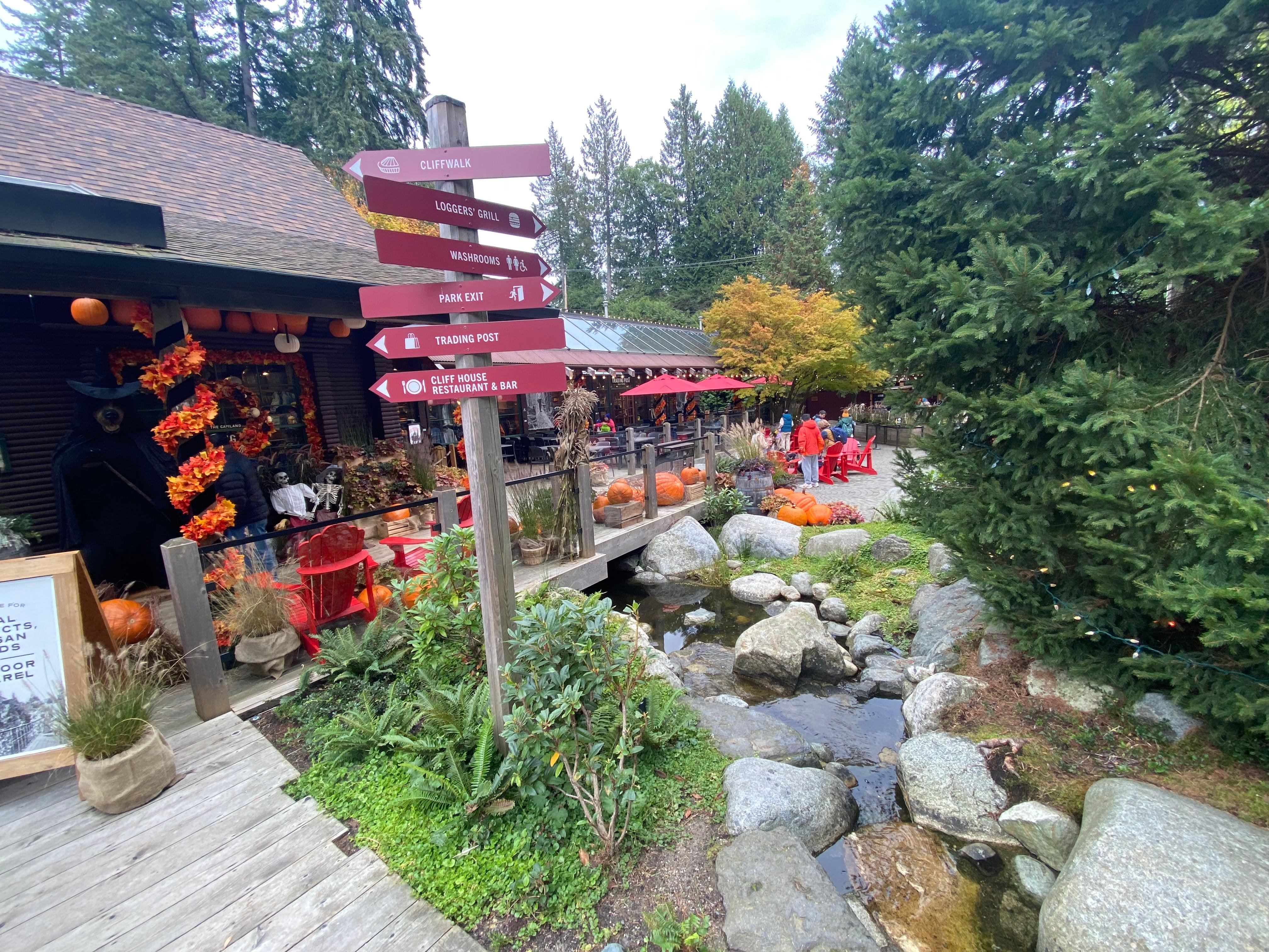 Private Vancouver Highlights: Capilano Suspension & Grouse Mountain