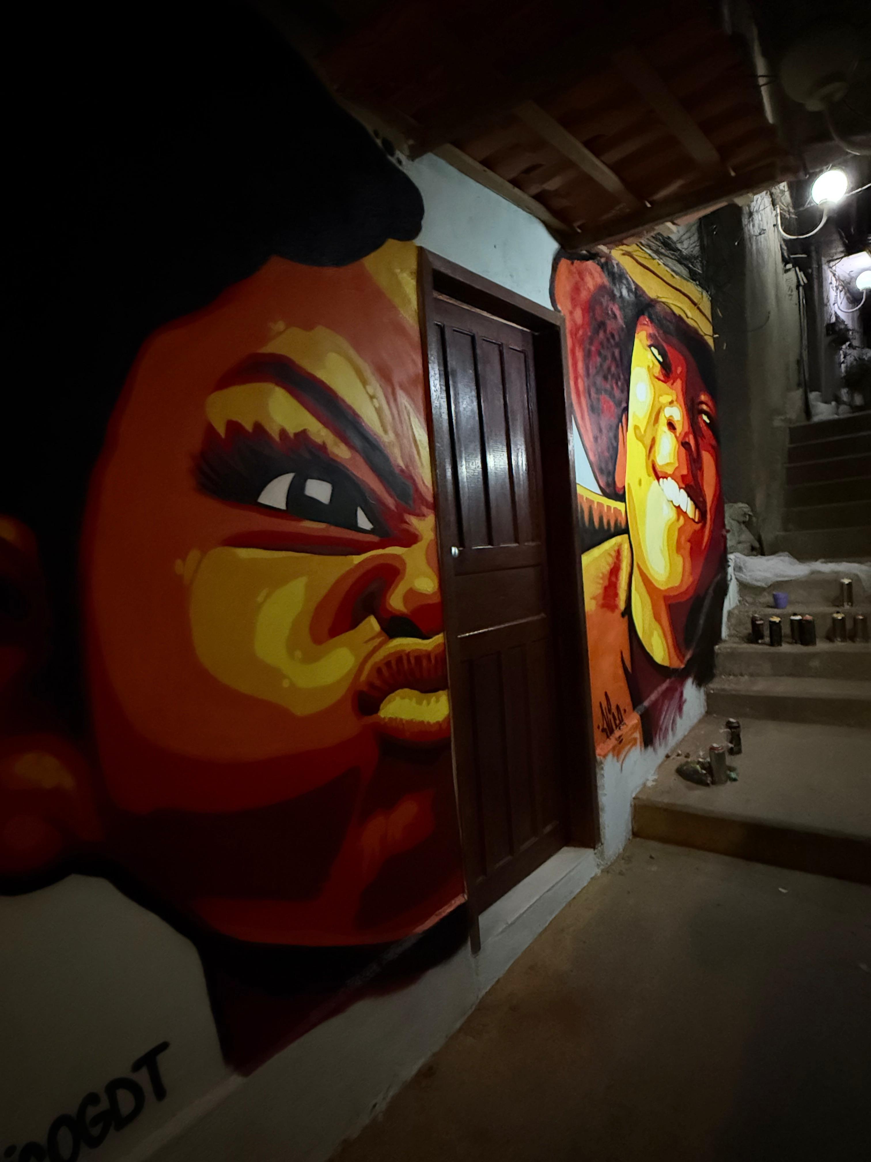 Rio de Janeiro: Santa Marta Favela Guided Walking Tour
