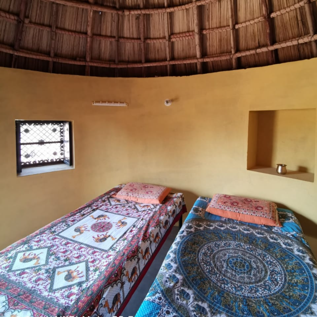 Thar Desert Overnight Camel Safari & Village Stay