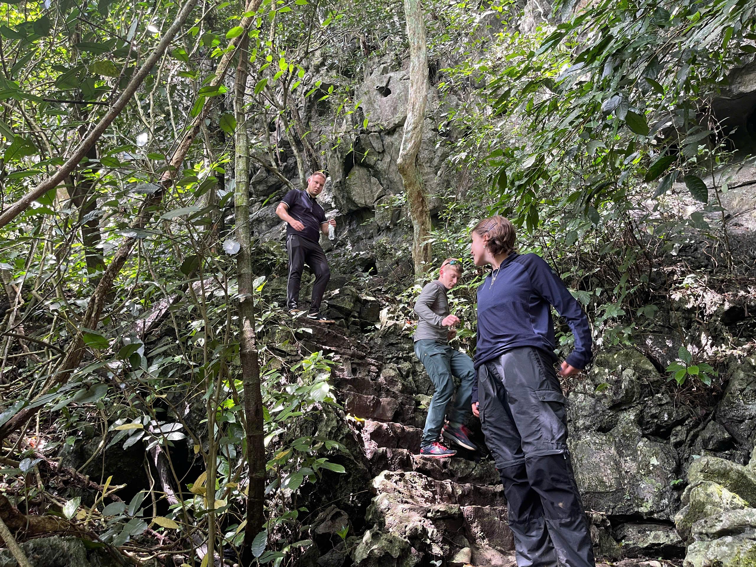 Cuc Phuong National Park: Jungle Trek & Wildlife Day Trip from Ninh Binh