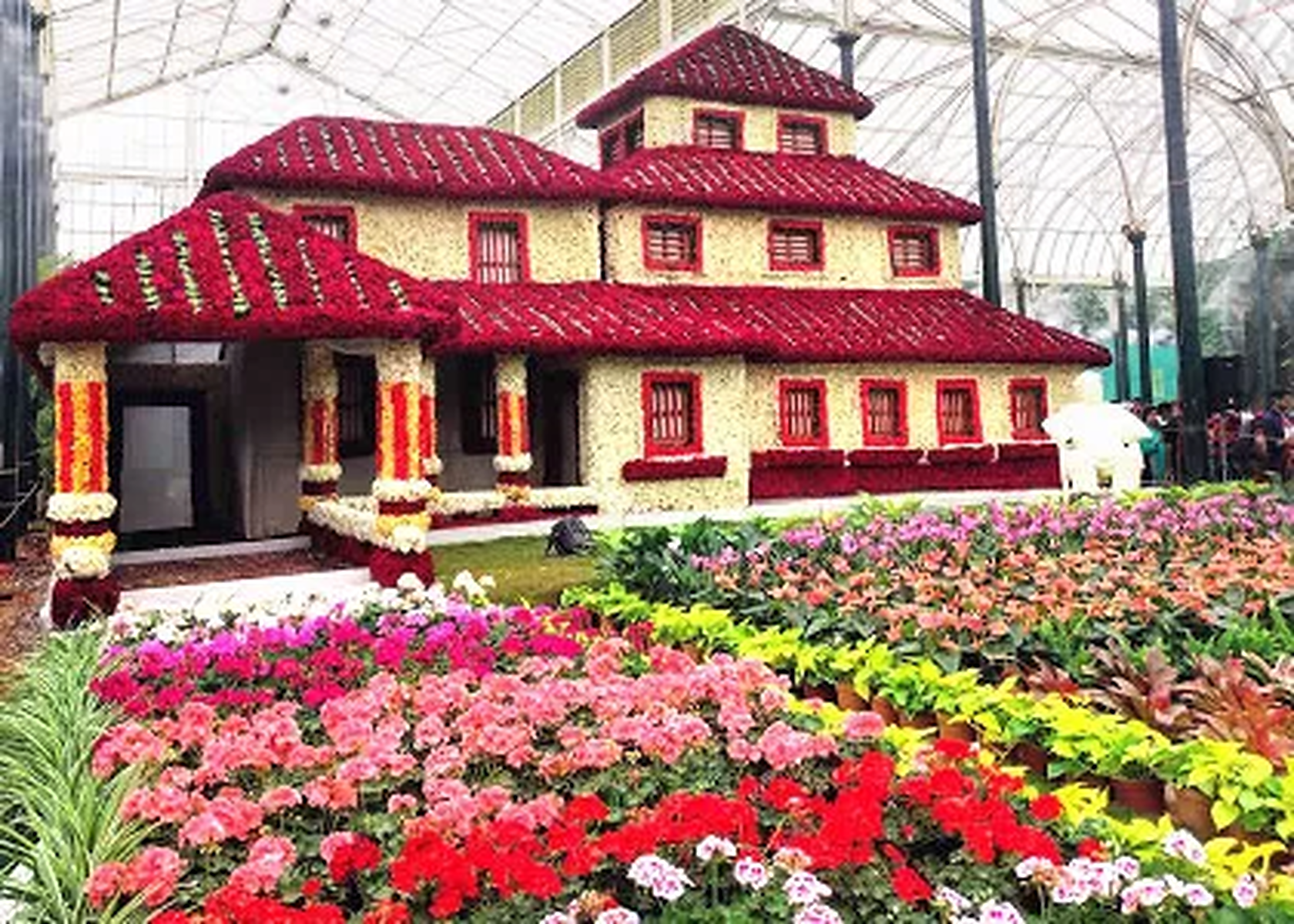 Bannerghatta Wildlife & Bangalore Heritage Private Tour