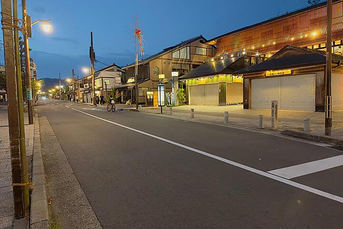 Kyoto experience — temples, geisha, bamboo grove — image 8