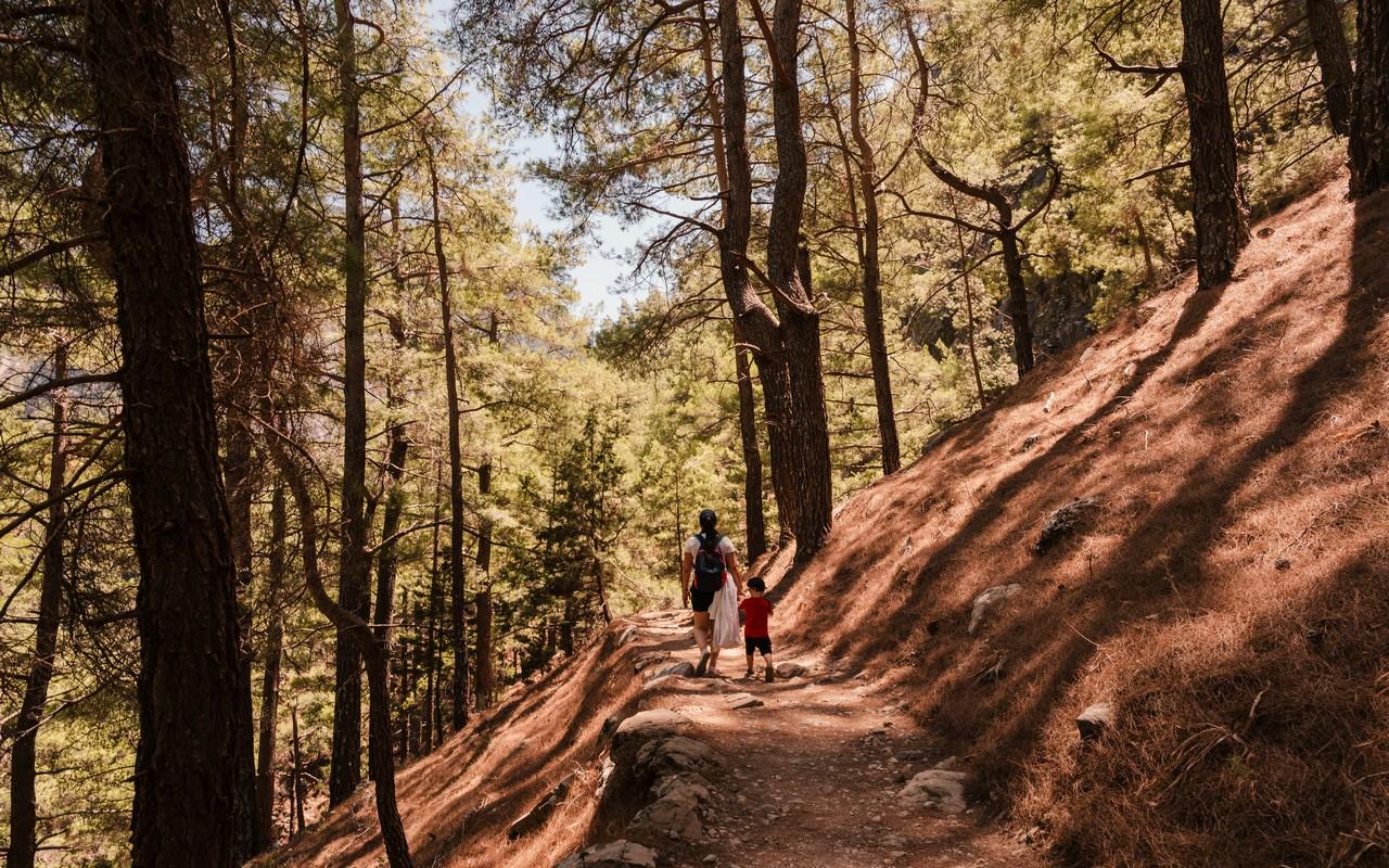 Samaria Gorge hike Crete — Xyloskalo descent, Iron Gates Sideroportes, kri-kri ibex, Agia Roumeli Libyan Sea — image 63