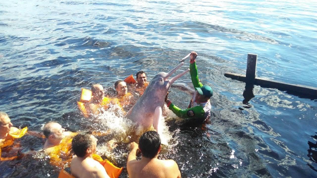 Manaus: Full-Day Amazon River Adventure