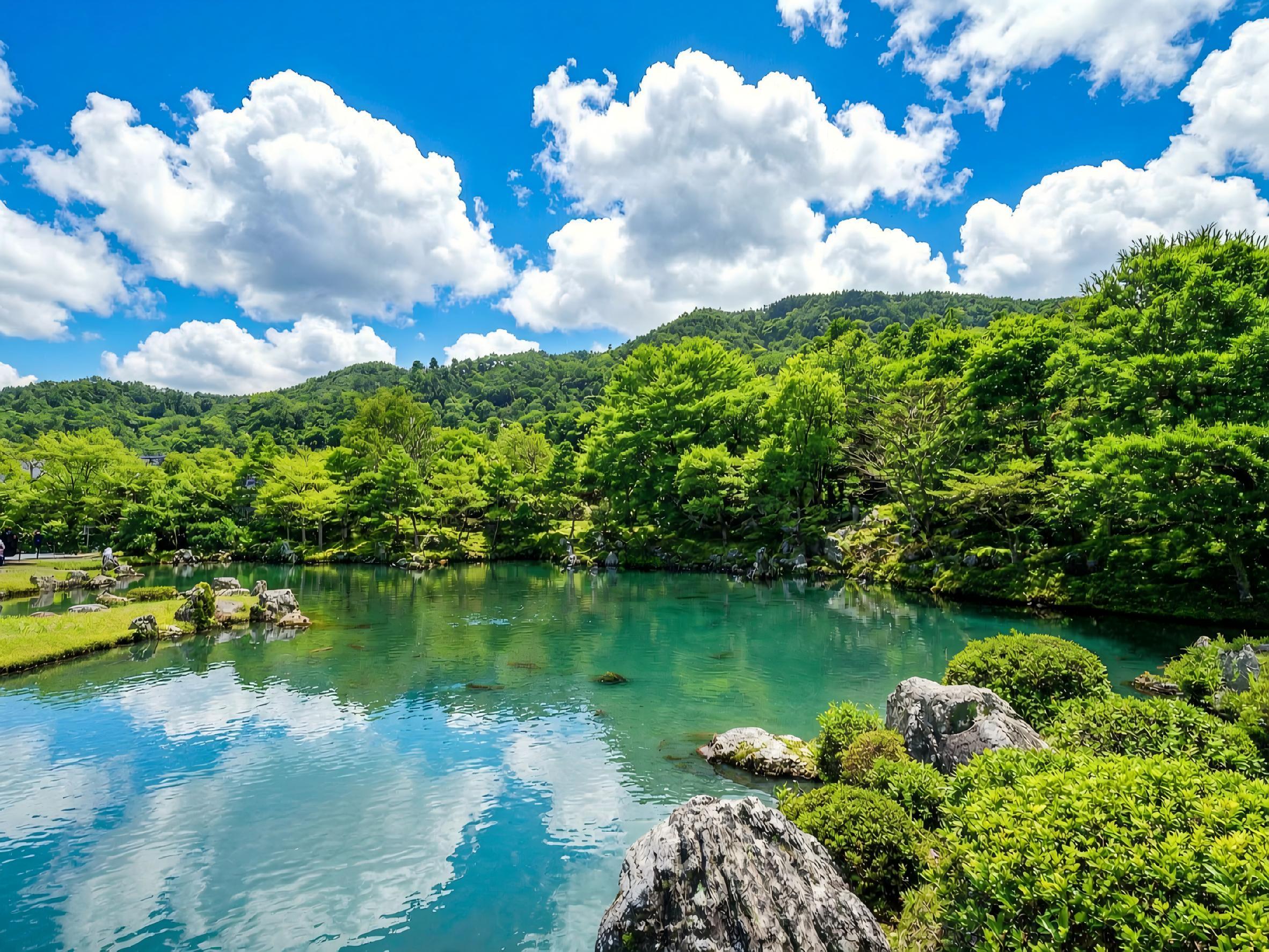 Kyoto & Arashiyama Cultural Explorer Day Trip