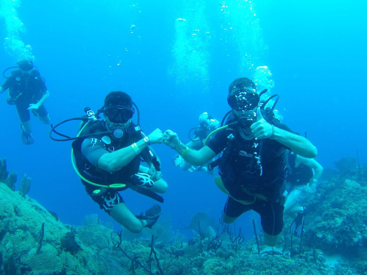 Catalina Island Discovery Dive & Beach Experience
