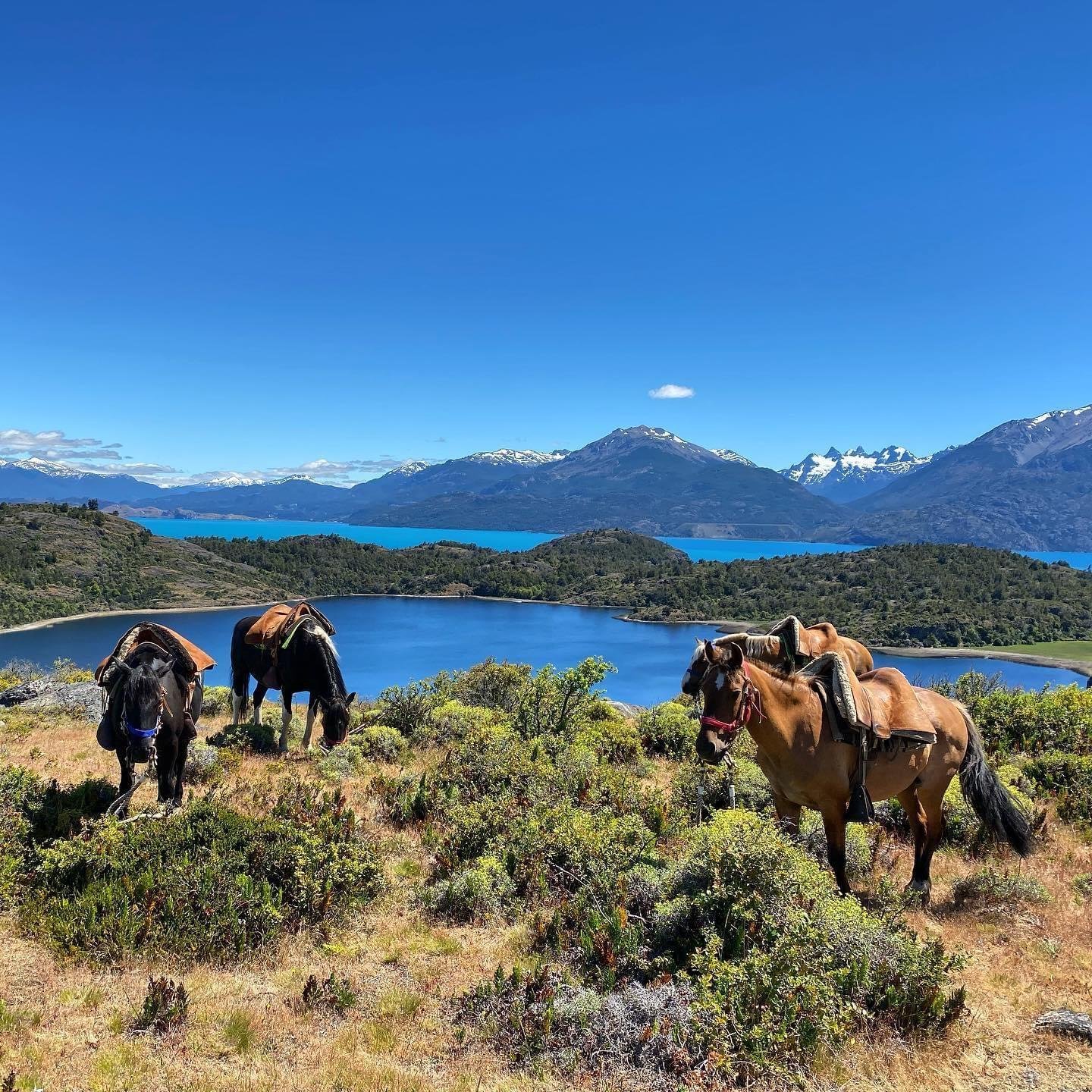 Mallín Grande Horseback Adventure with Lake Views