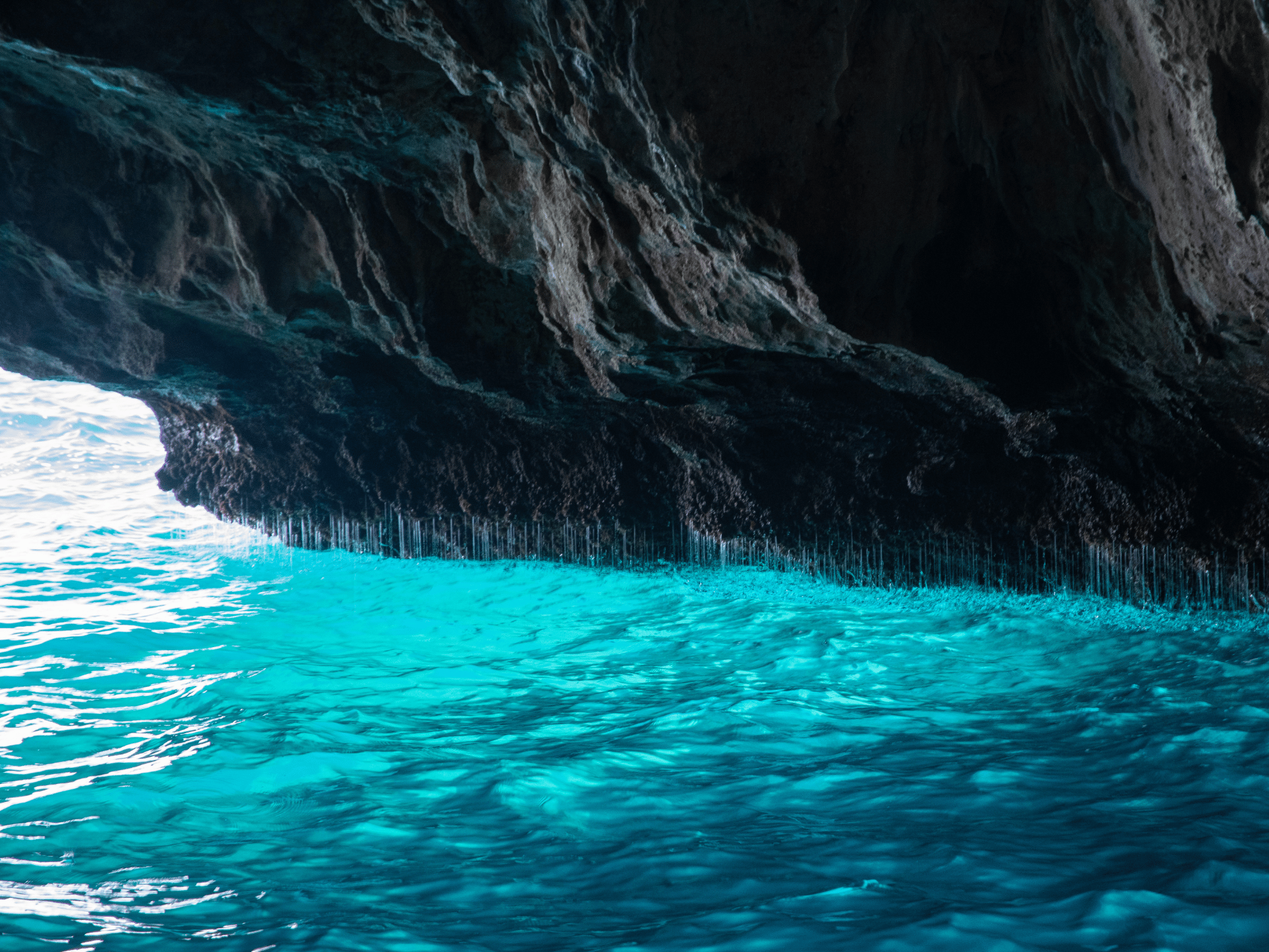 Blue Cave & Perast Speedboat Adventure