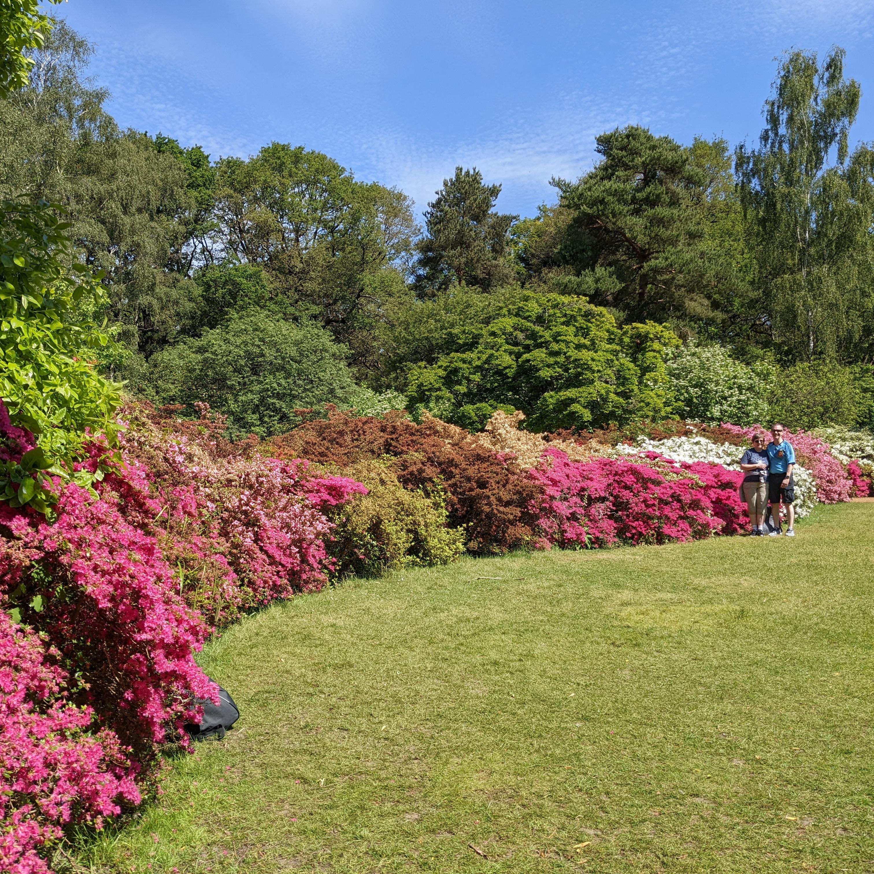 London Royal Deer Park & Thames Cycling Adventure
