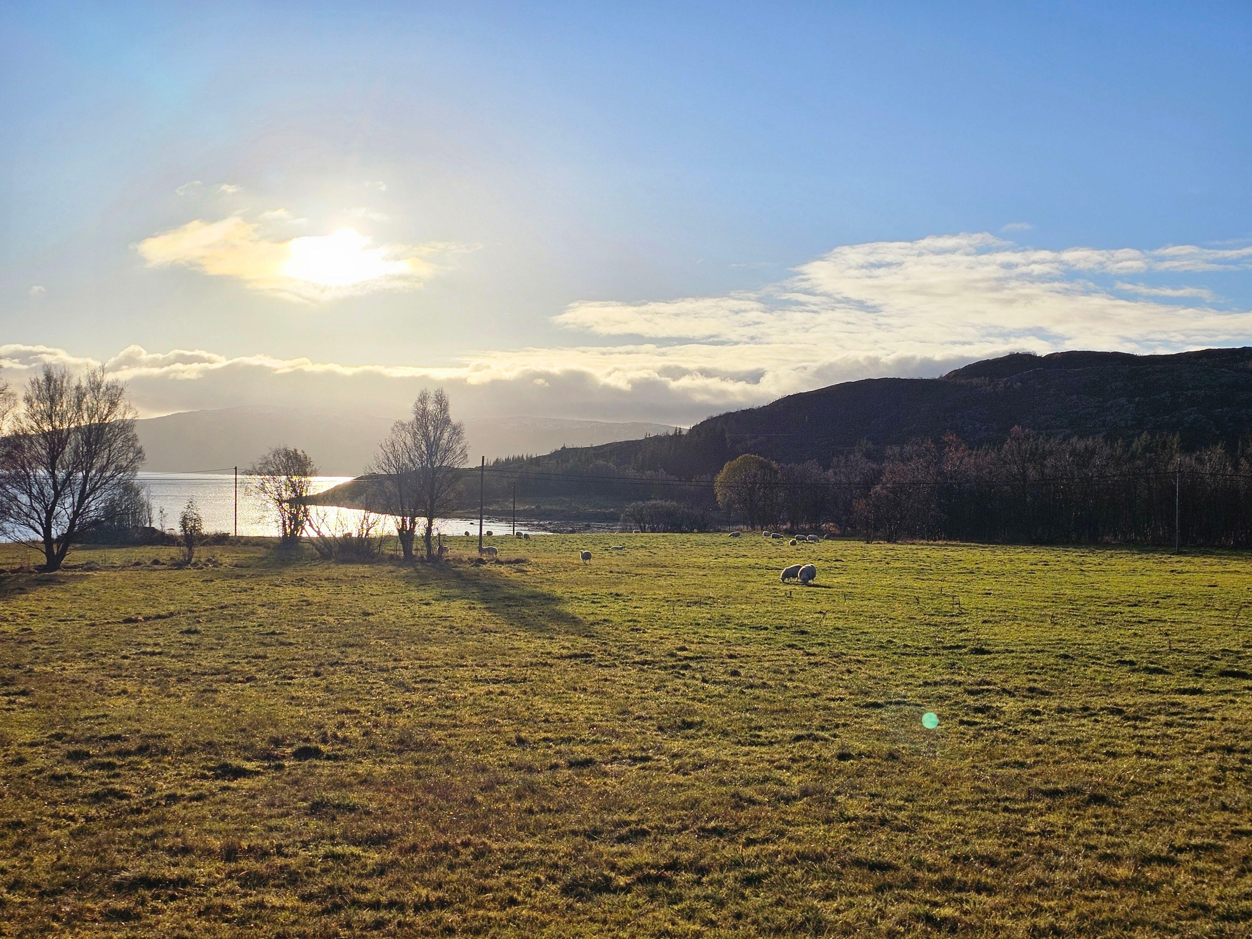 From Tromsø: Sommarøy & Kvaløya Scenic Fjord Tour — Sommarøy island Norway tour photo 4