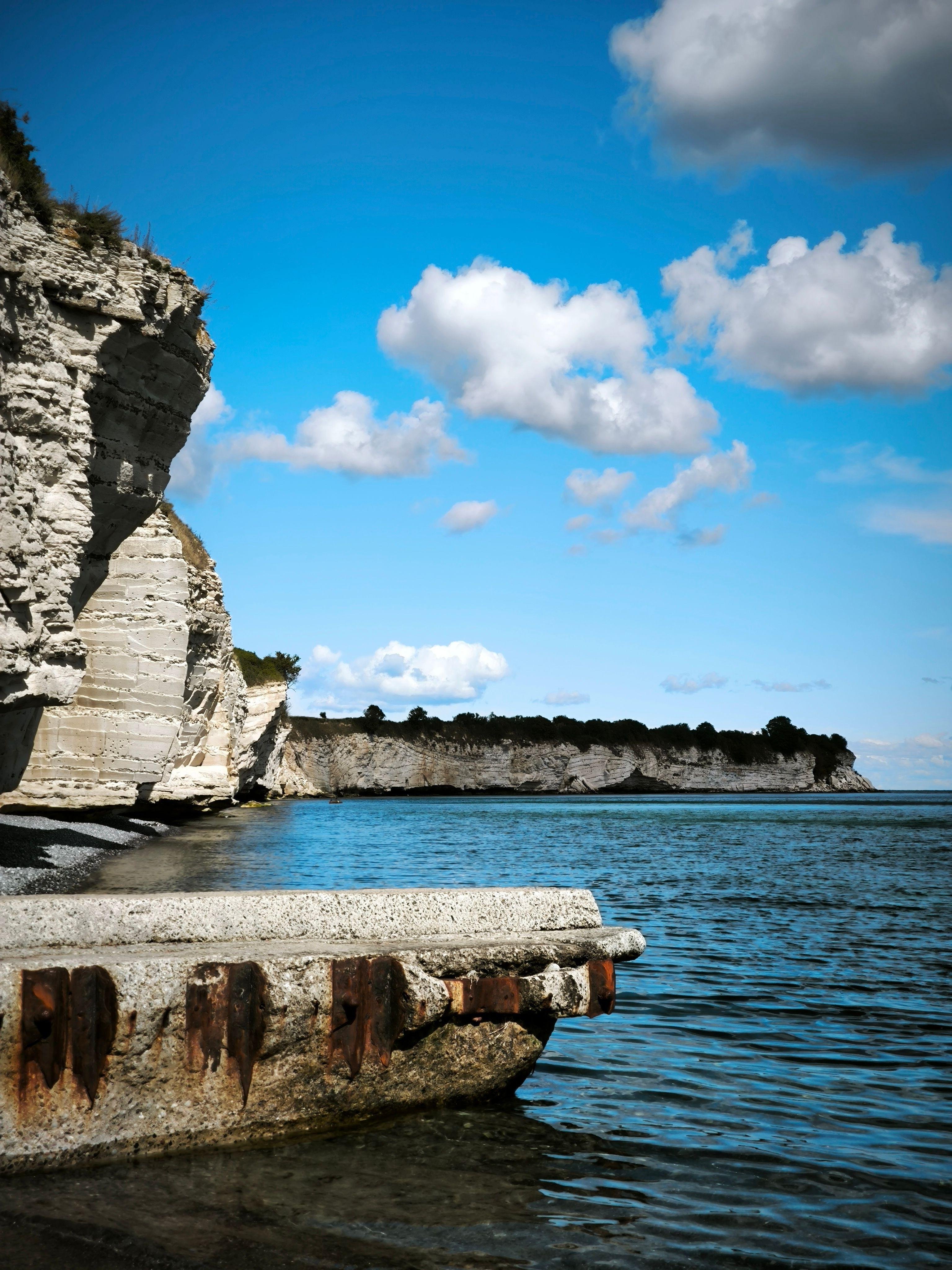 Møns Klint & Forest Tower Private Day Trip from Copenhagen