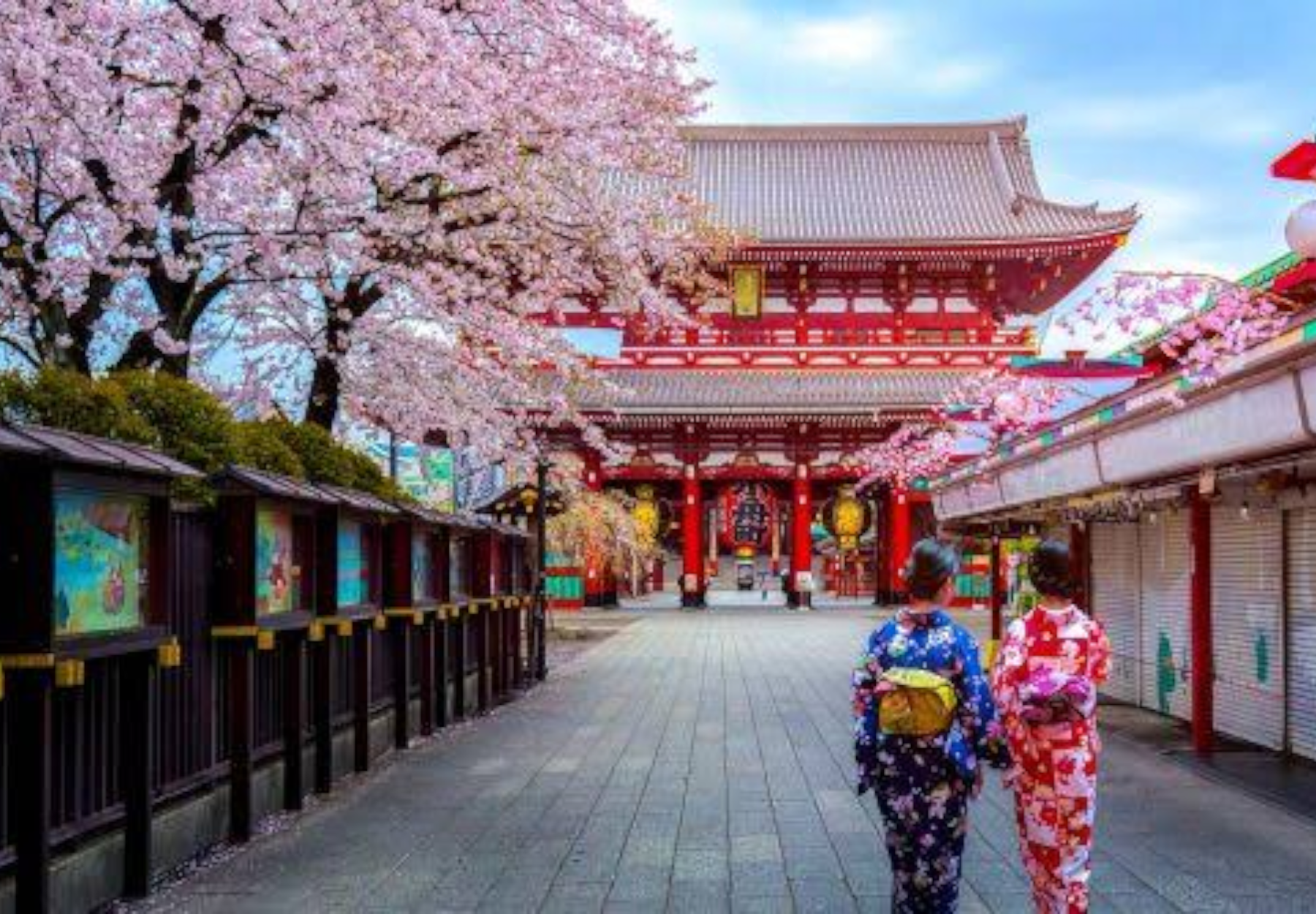 Tokyo Full-Day Private Guided Tour with Hotel Transfers