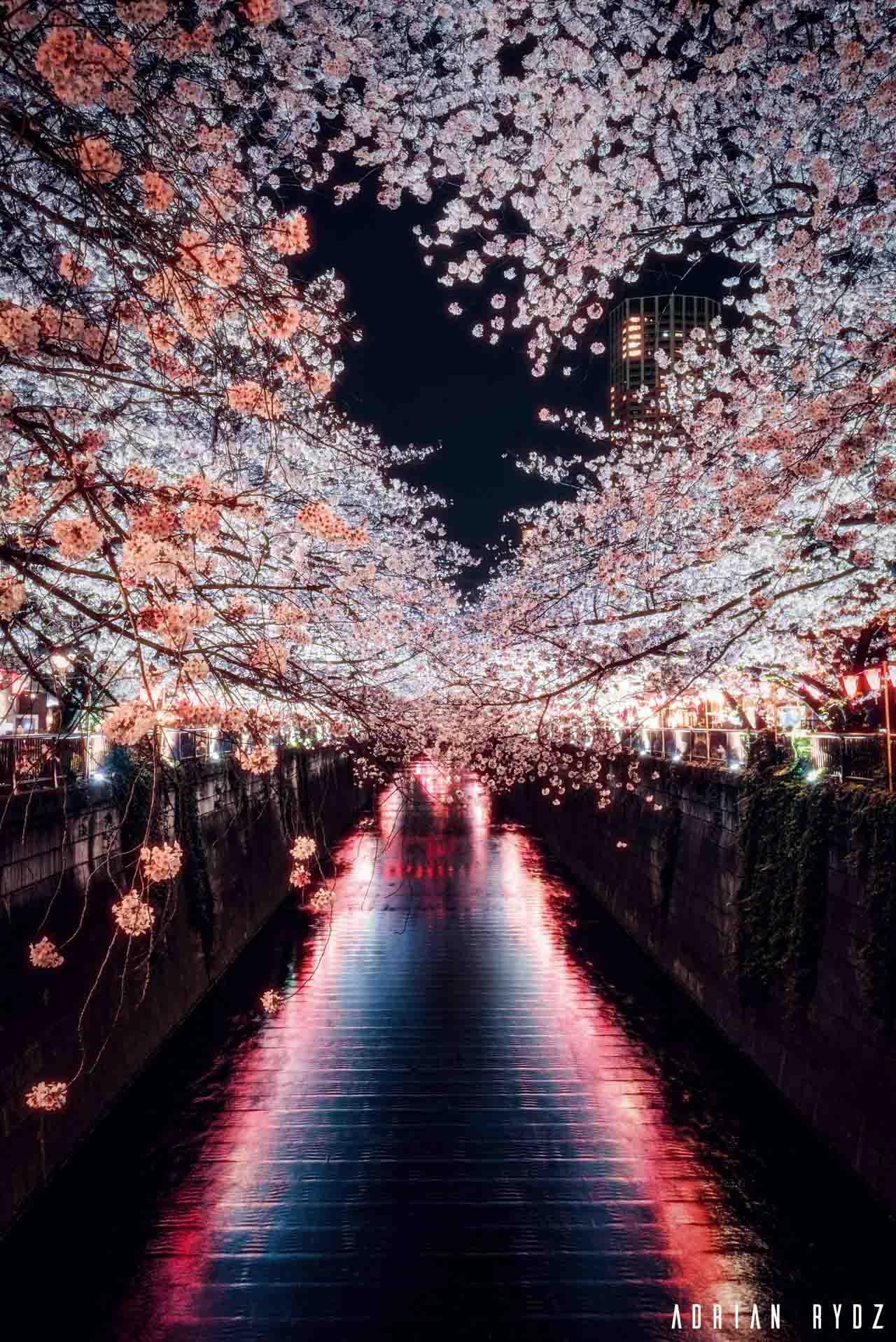 couples photoshoot in Tokyo — image 19