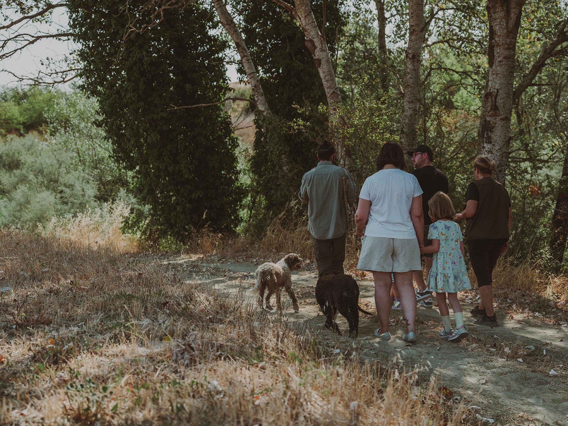Tuscany: Volterra Truffle Hunting Experience - 2026 (Verified Reviews)