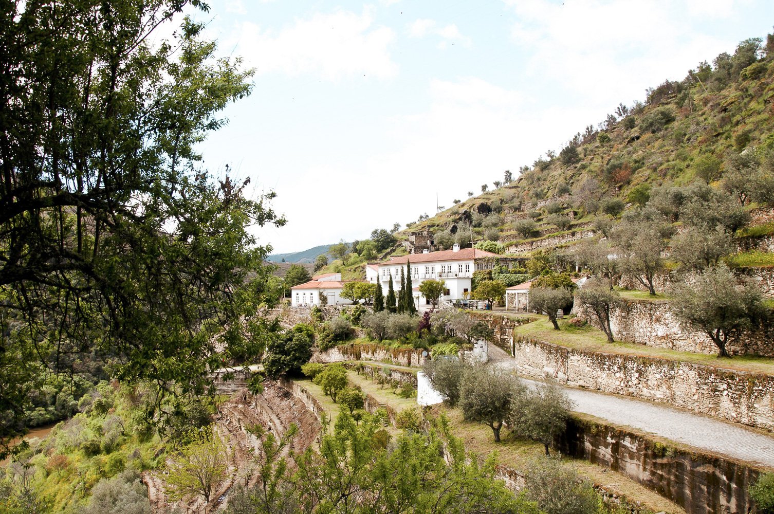 Douro Valley Premium Wine Tour with Cruise & Lunch from Porto