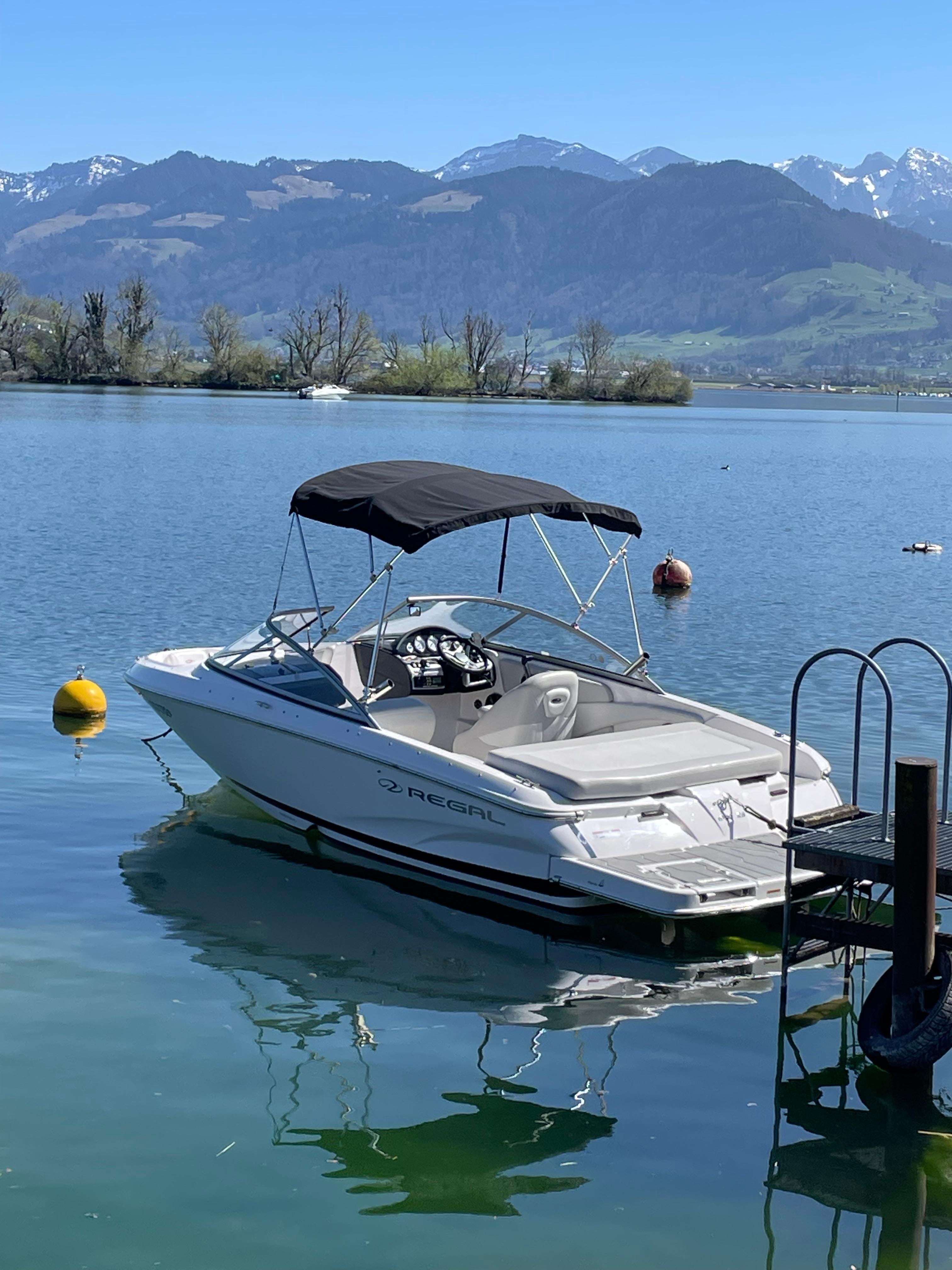 Private Lake Zurich Boat Tour with Water Sports