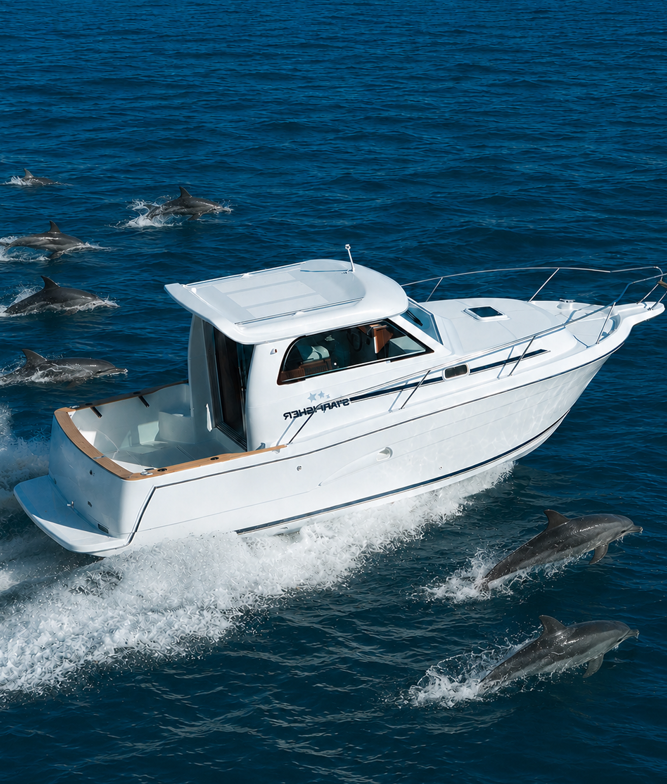 Benalmadena Boat Trip & Dolphin Watching