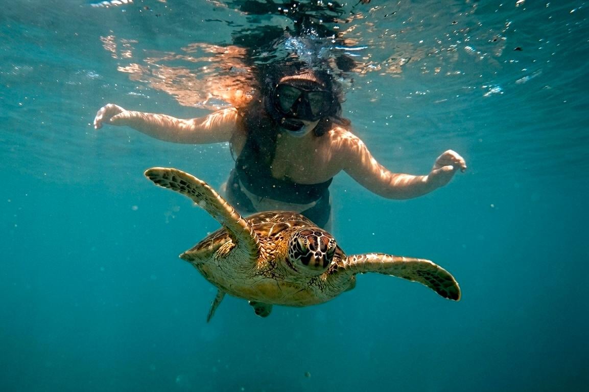 Mirissa Sea Turtle & Coral Reef Snorkeling Tour